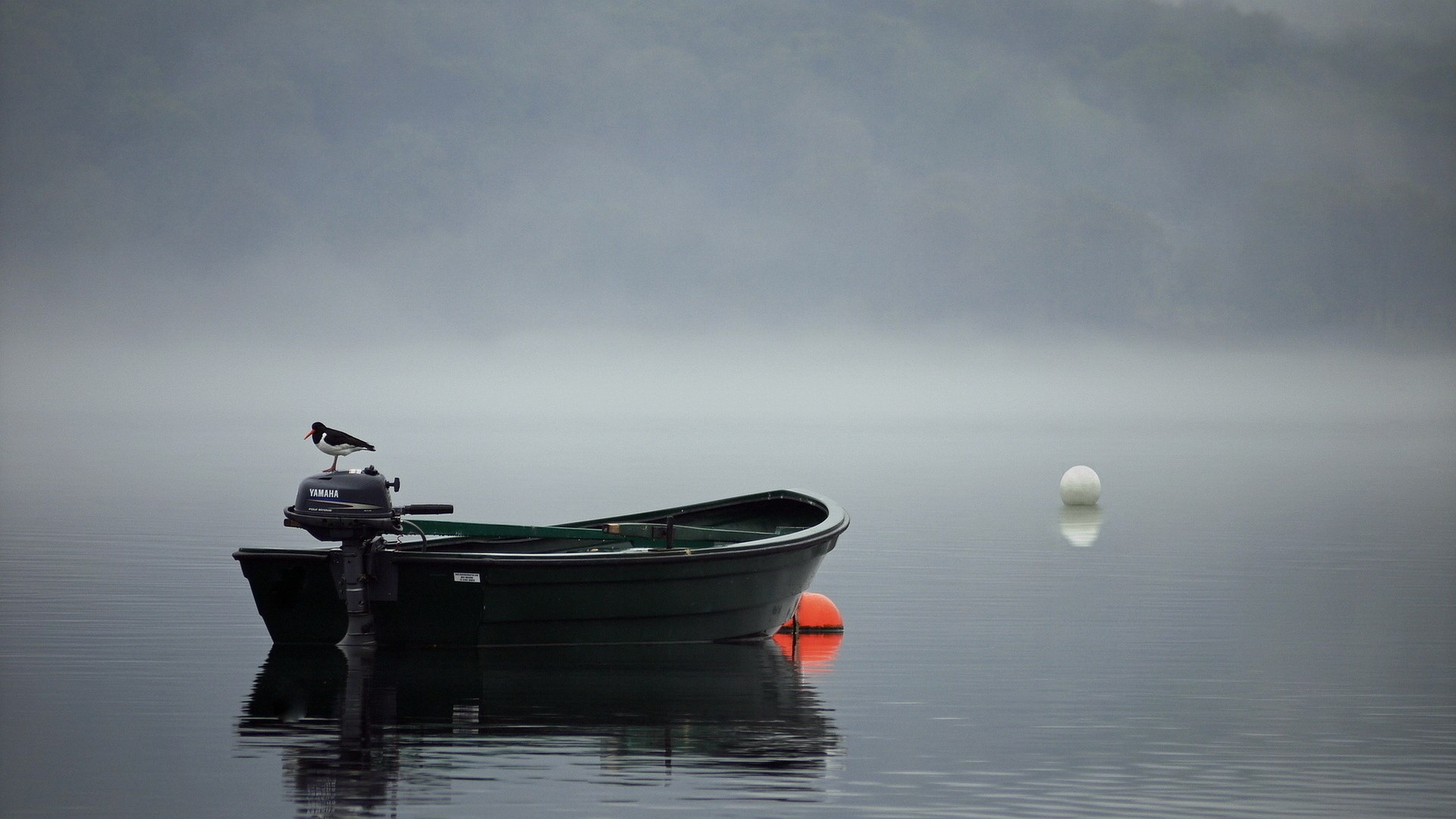 Boat with bird and buoy on foggy lake HD Wallpaper