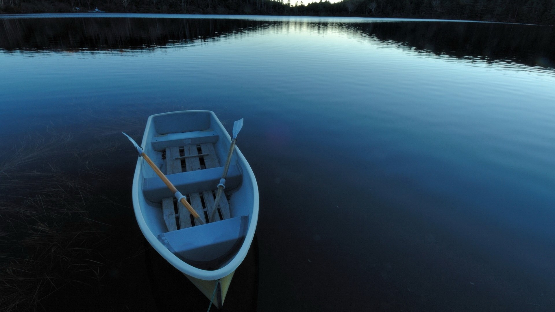 Rowboat with oars on a calm lake at dusk HD Wallpaper