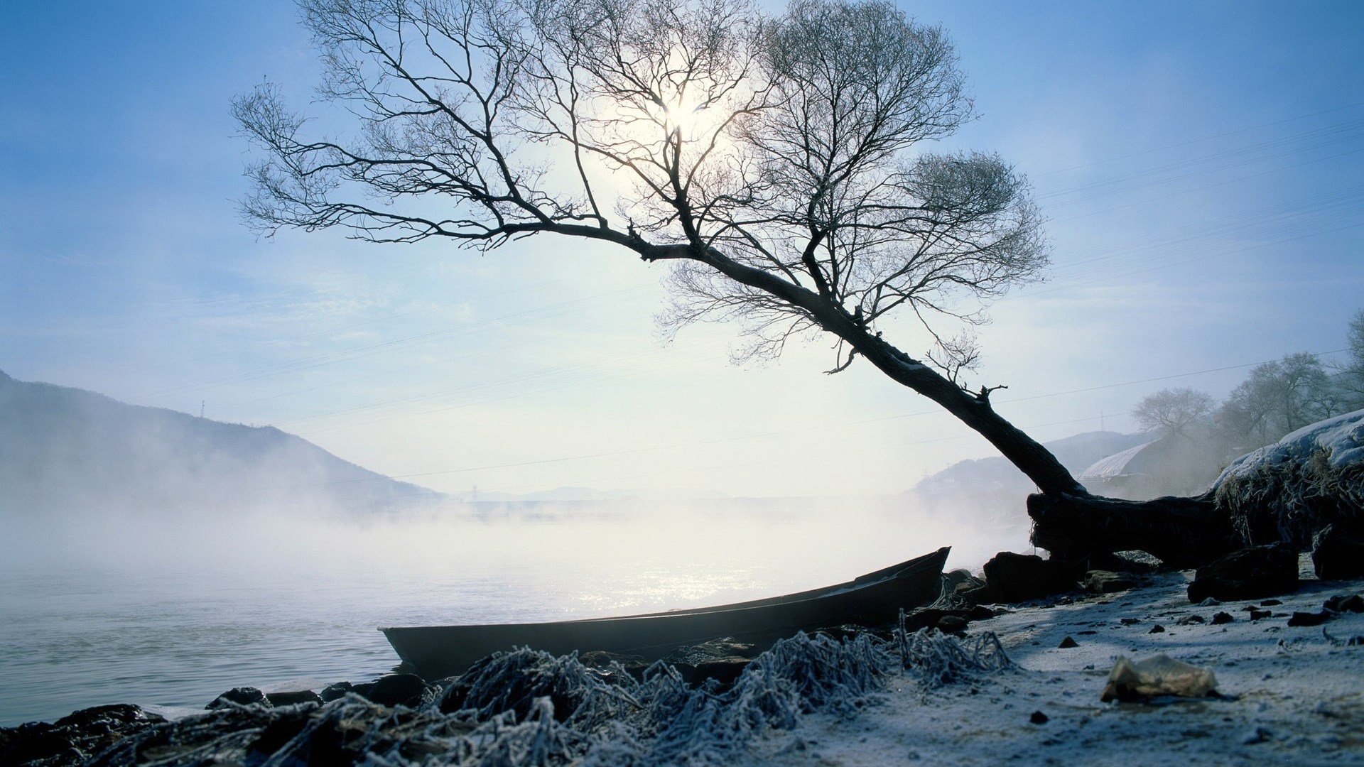 Boat on a misty riverbank with a bare tree HD Wallpaper