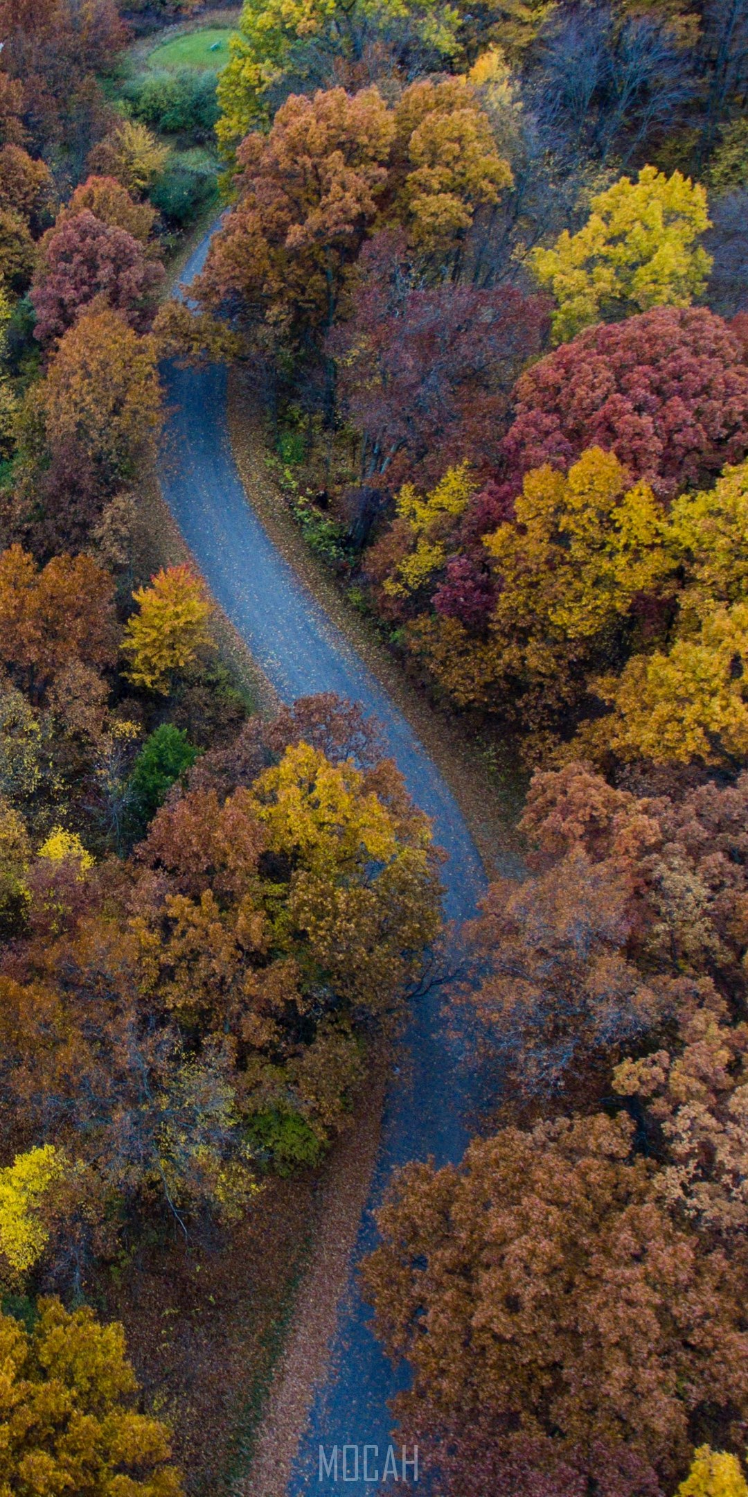 Aerial View Of A Winding Road Through Autumn Trees Hd Phone Wallpaper ...