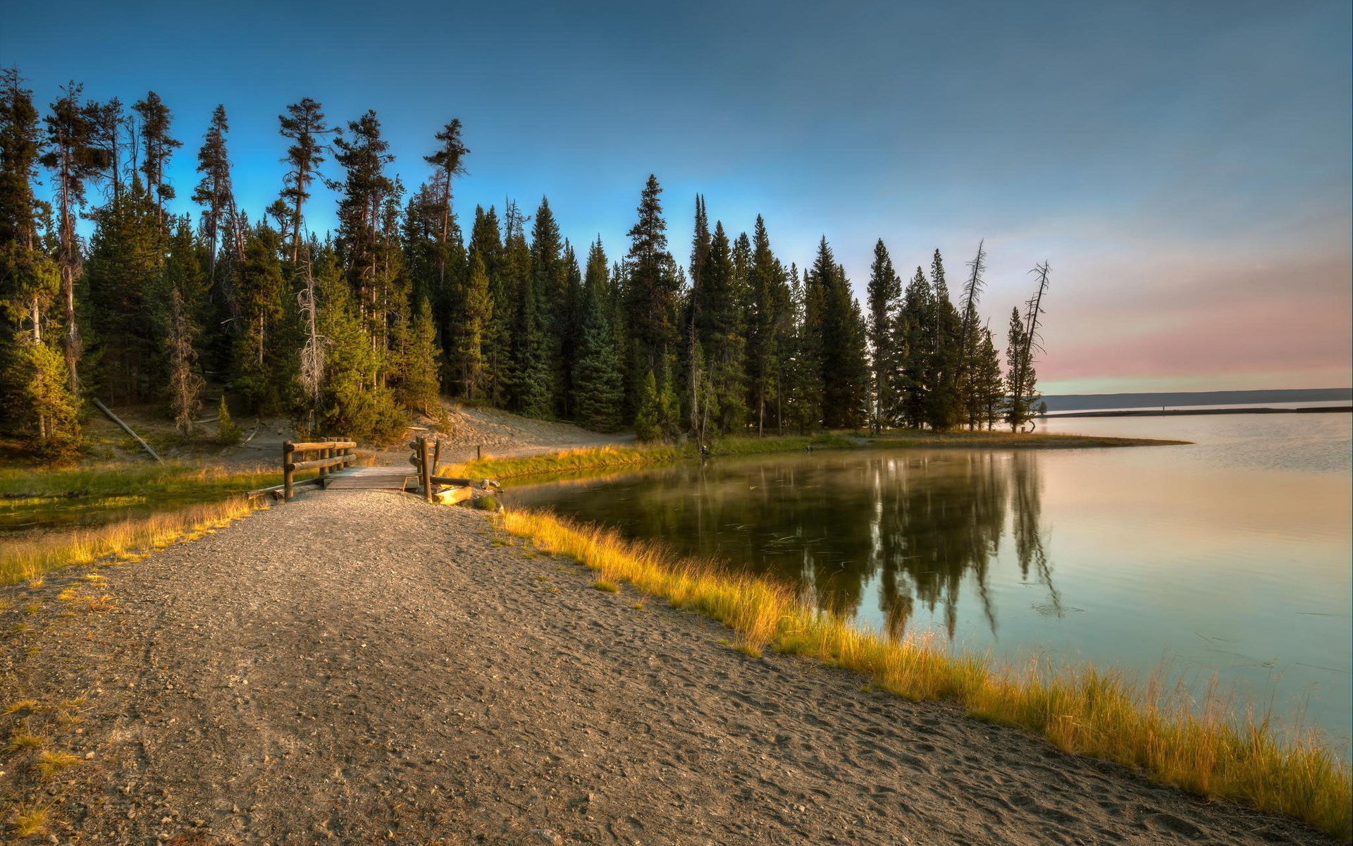 Forest path leading to a lake at sunrise HD Wallpaper