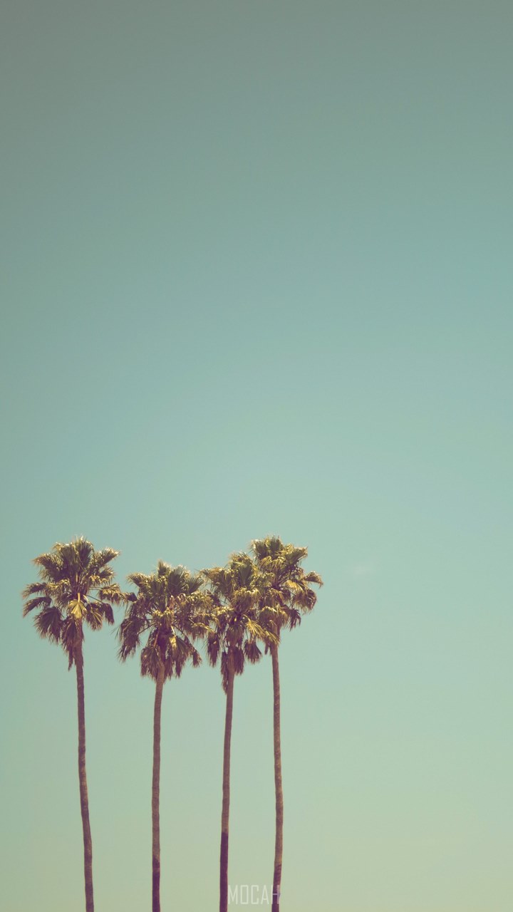 88 Wallpaper Keren Xiaomi Redmi 3 Images & Pictures - MyWeb