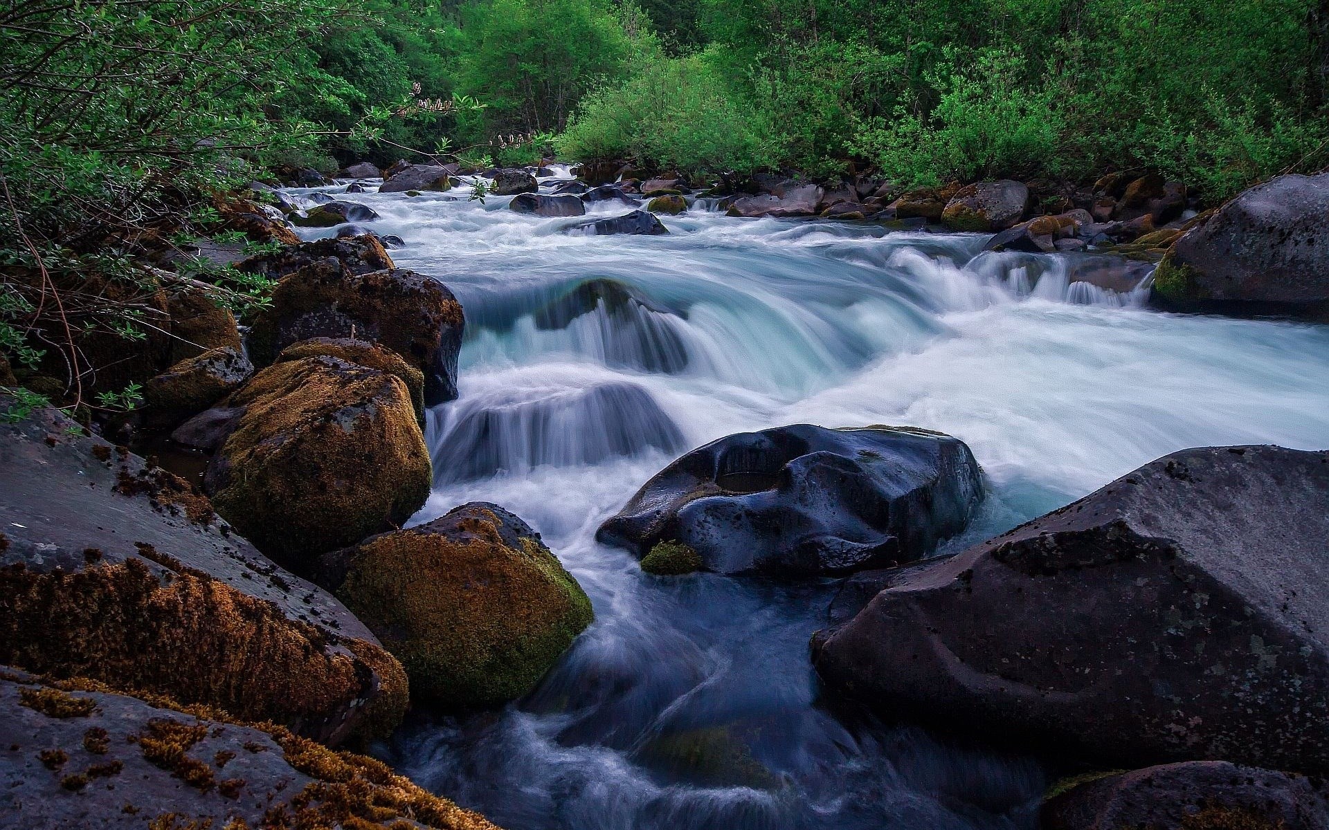 Fast-flowing river over rocks with green foliage HD Wallpaper
