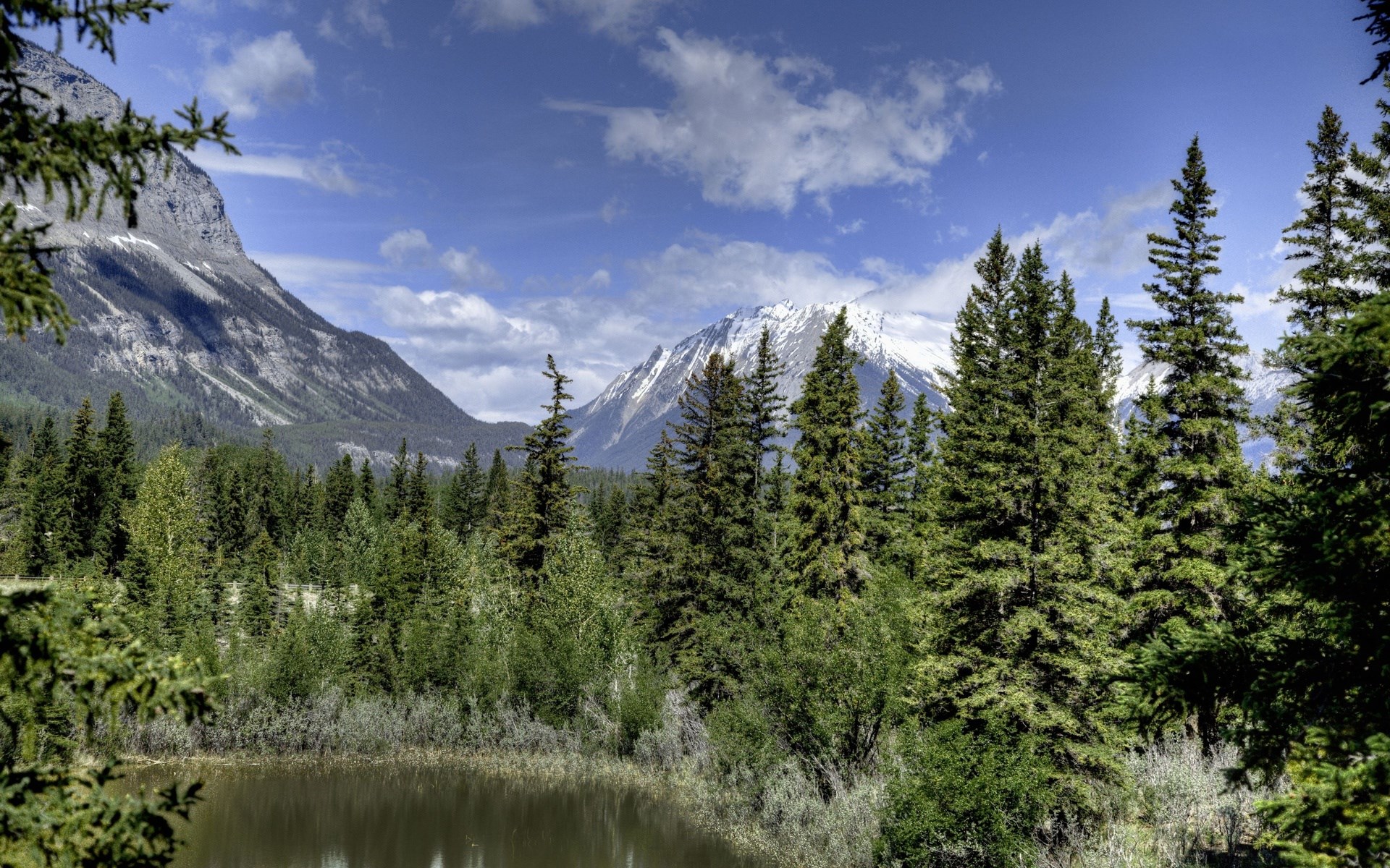 Snow-capped mountains behind a forest and lake HD Wallpaper