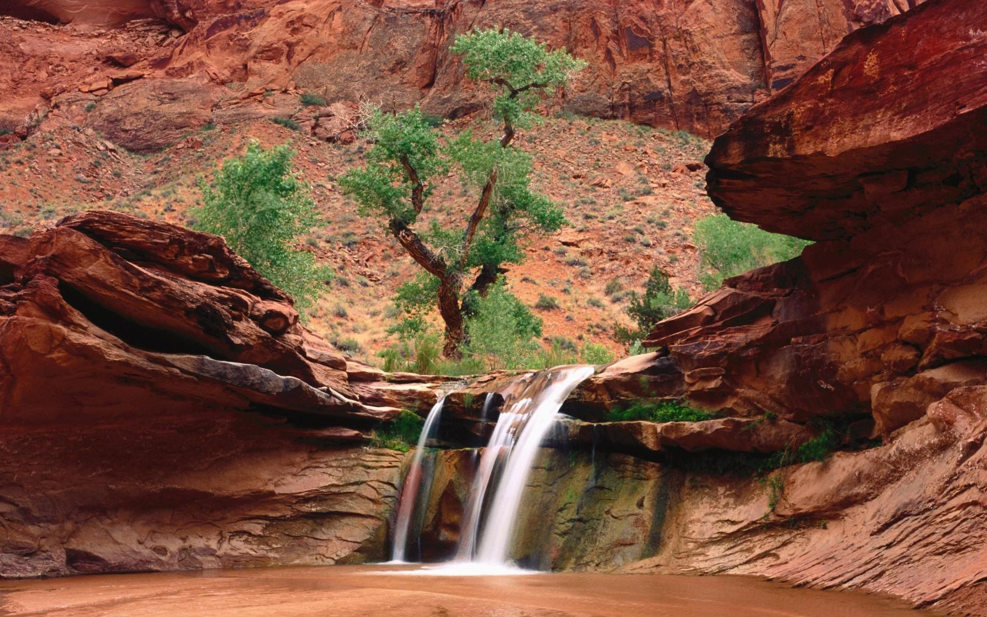 Waterfall cascading into a pool in a desert canyon HD Wallpaper