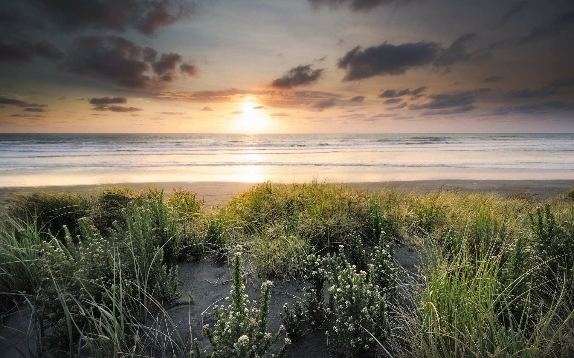 Sunset over the ocean with beach grass HD Wallpaper