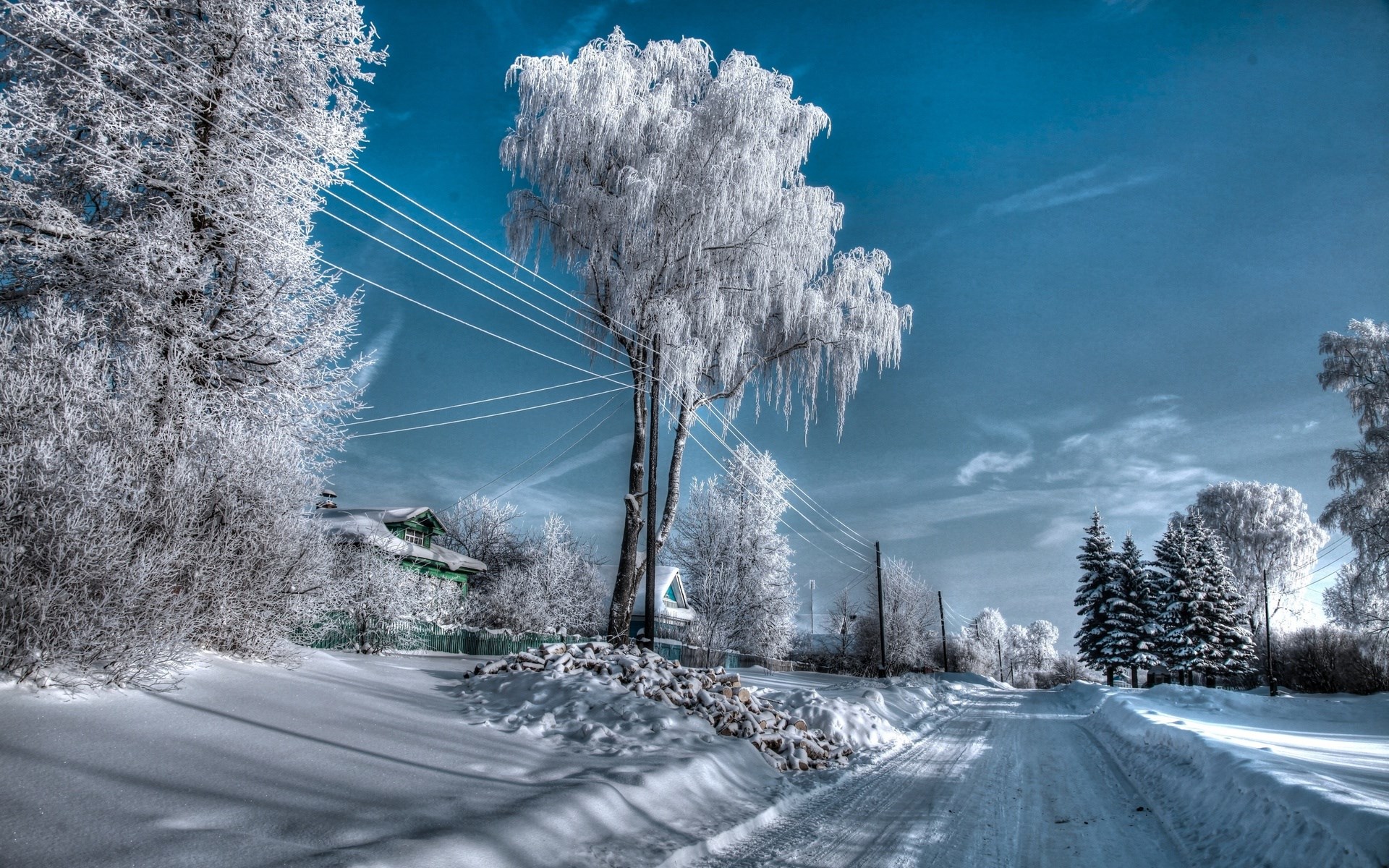 Snowy road with frosted trees and houses HD Wallpaper