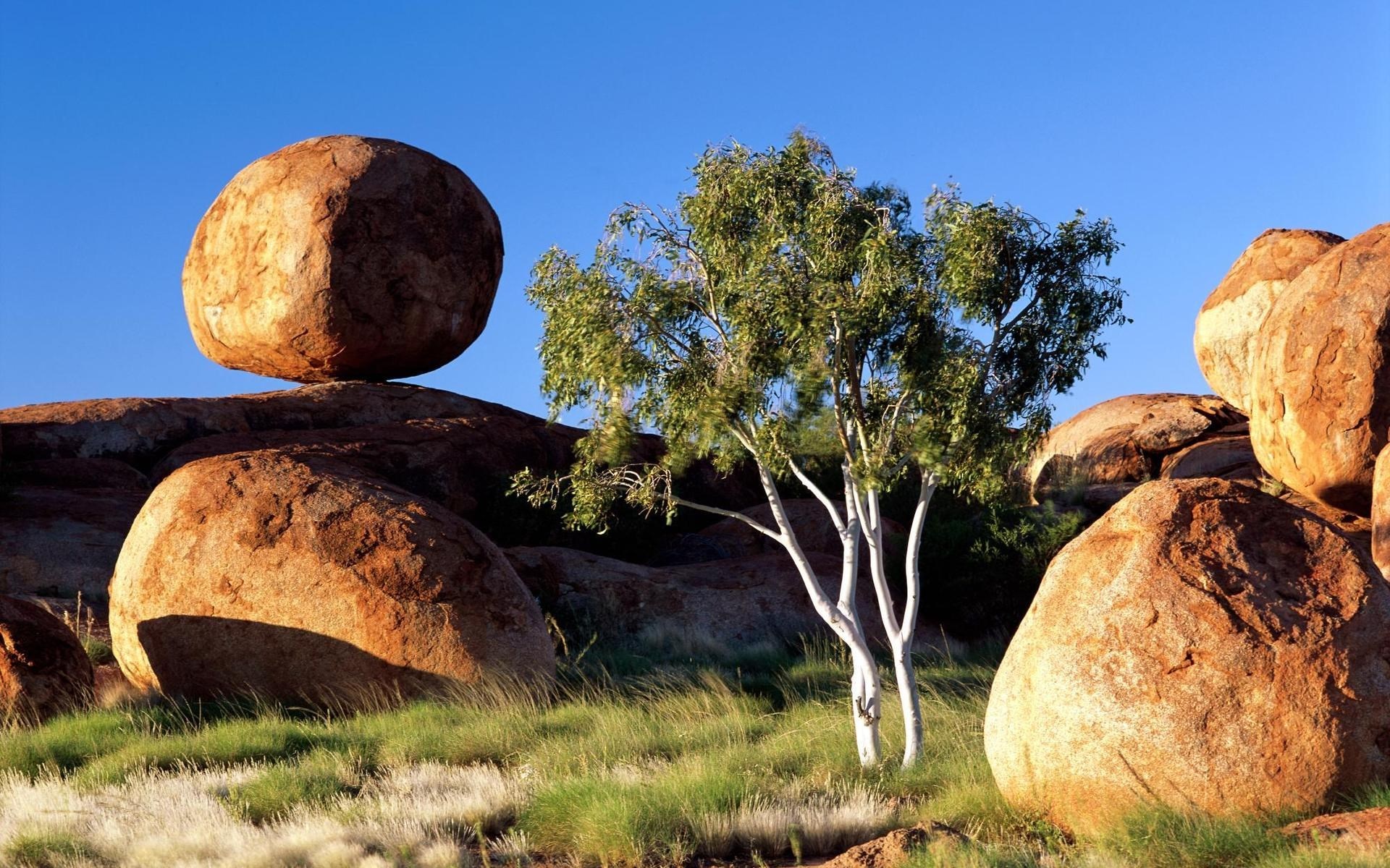 Balanced boulders and a tree under a blue sky HD Wallpaper