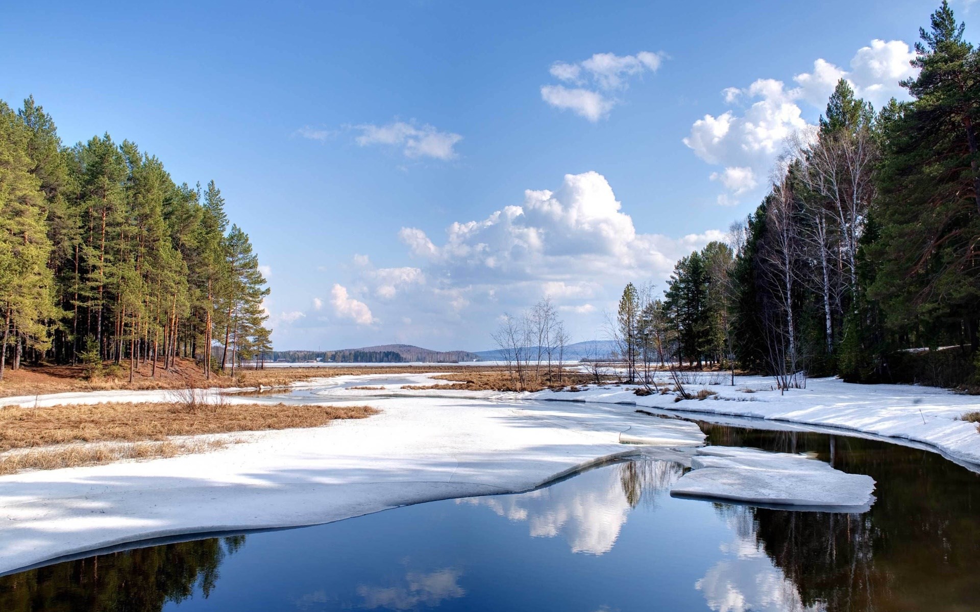 Melting ice on a river with pine forest and blue sky HD Wallpaper