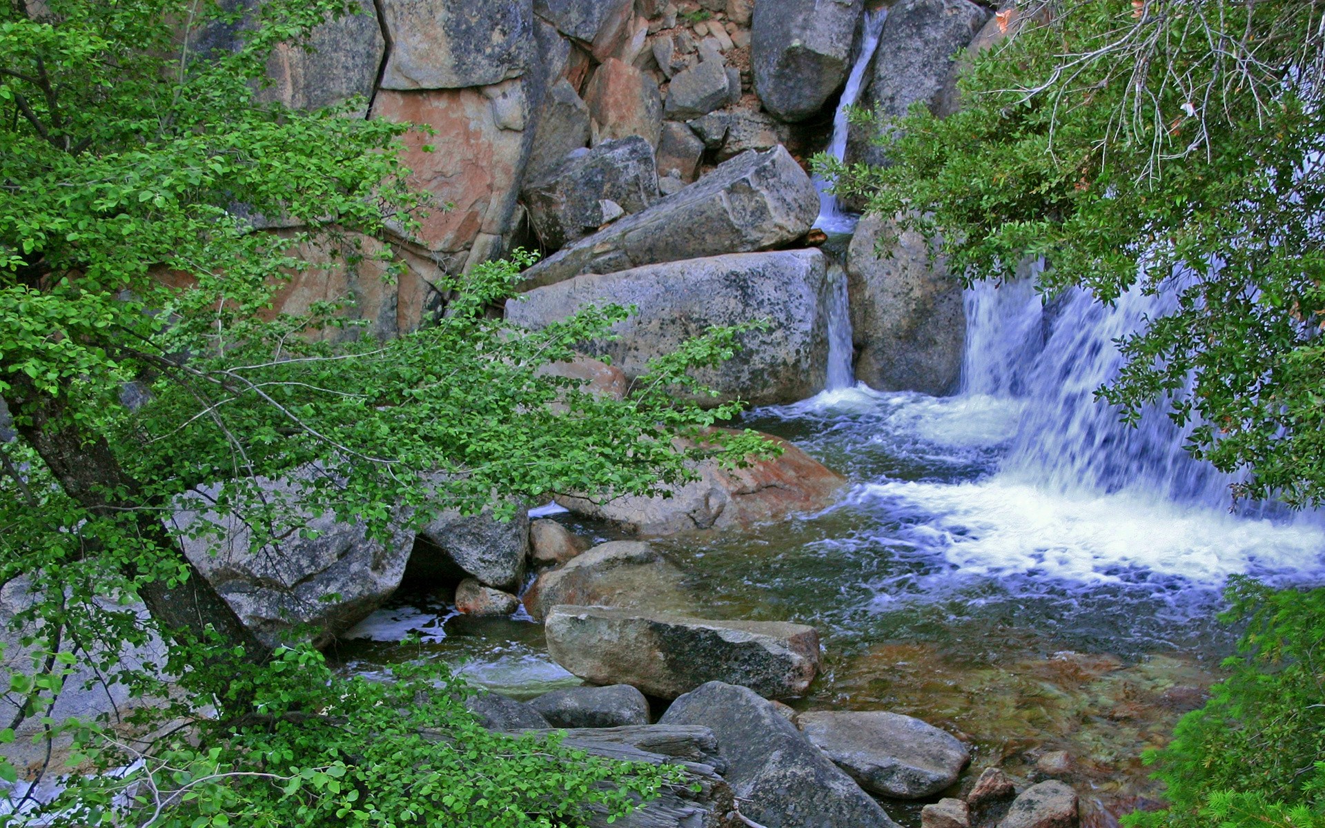 Waterfall cascading over rocks with trees HD Wallpaper