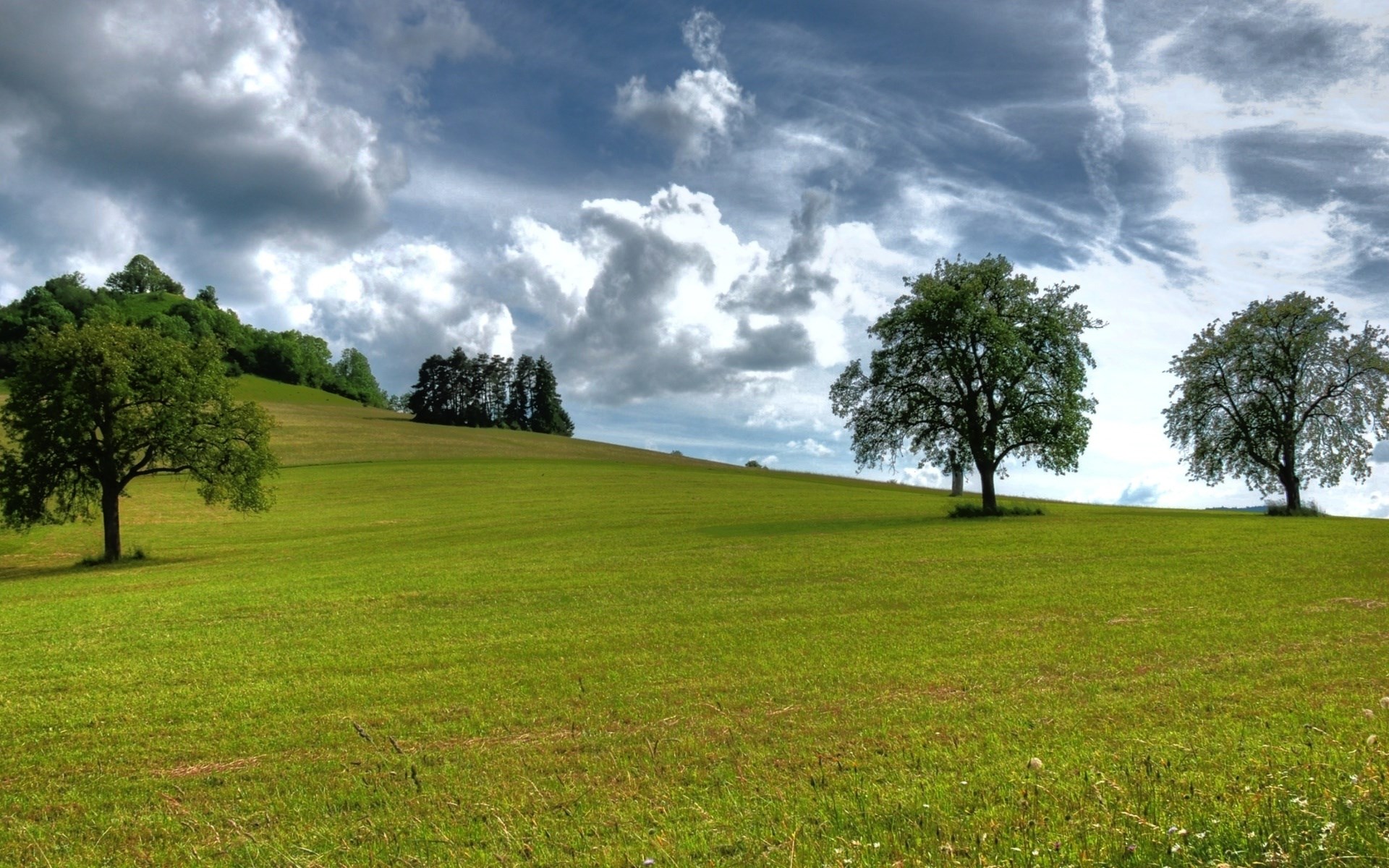 Green rolling hills with trees under a cloudy sky HD Wallpaper
