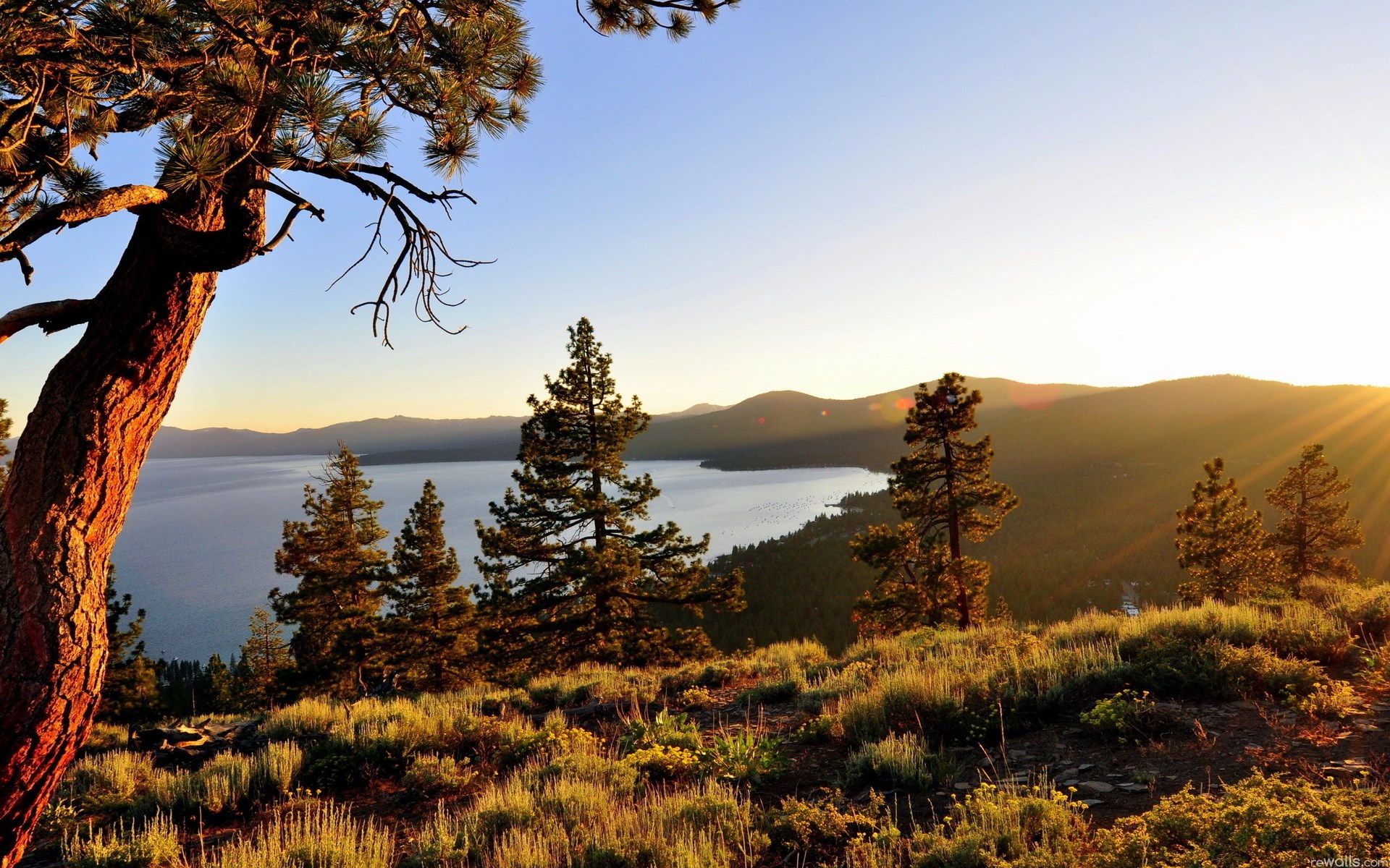 Sunset over a lake with pine trees on a hill HD Wallpaper