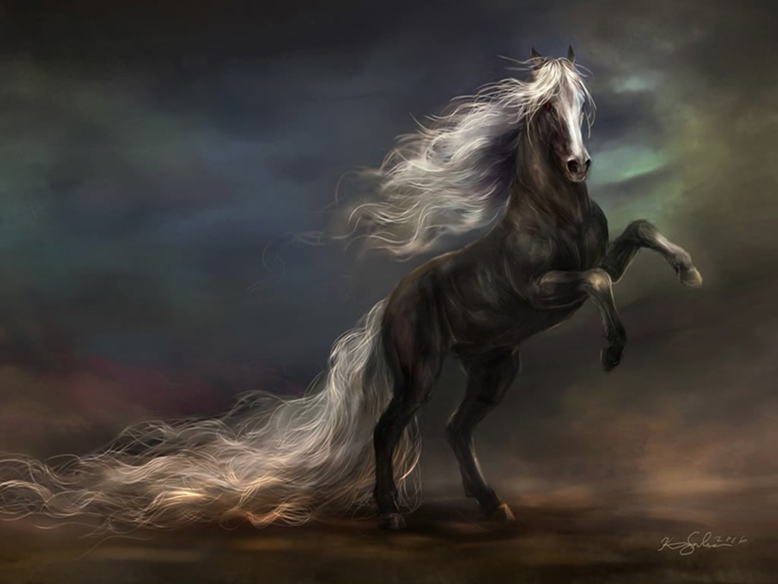 Black horse with white mane rearing up HD Wallpaper