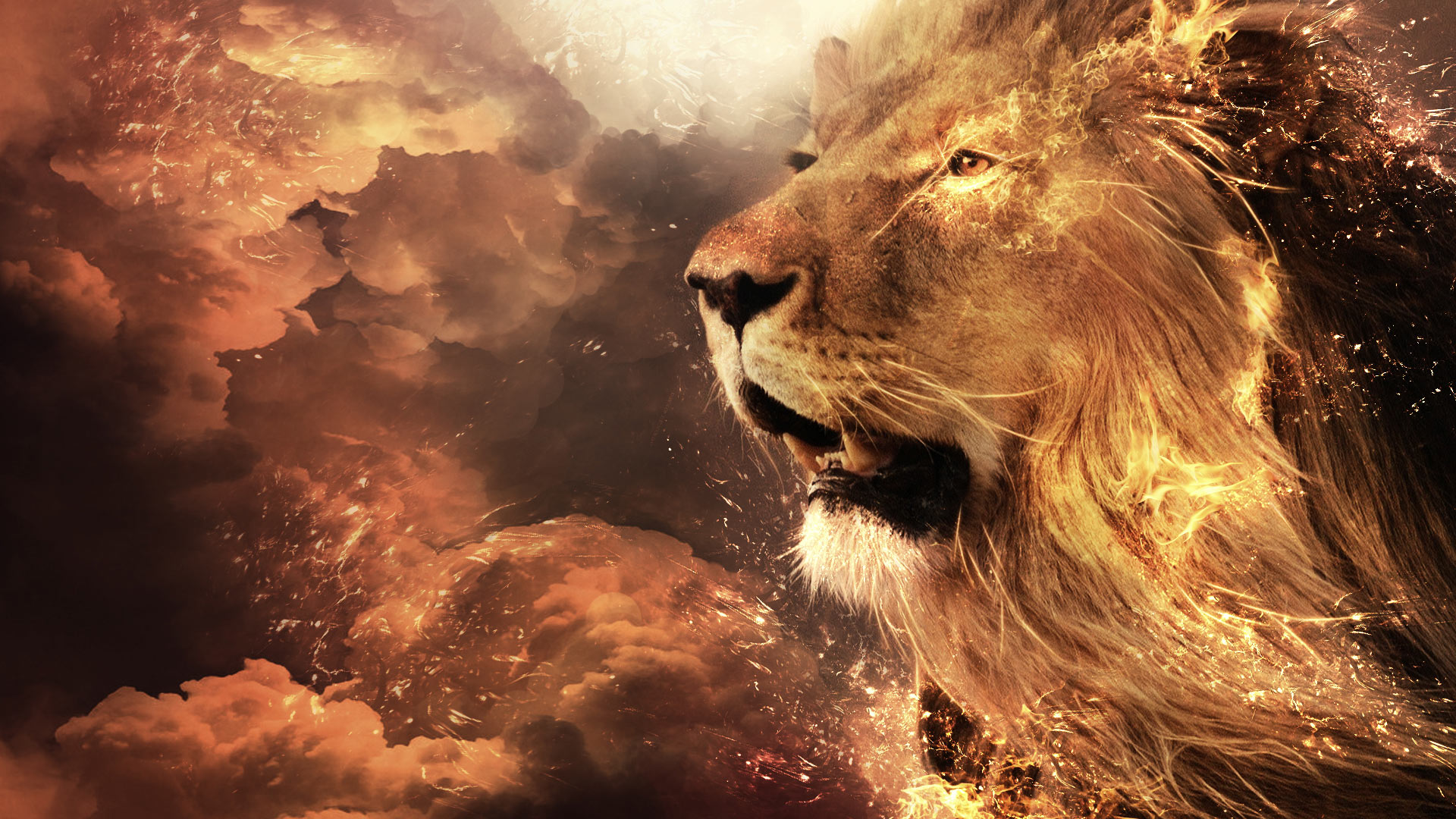 Lion with fiery mane and stormy background HD Wallpaper