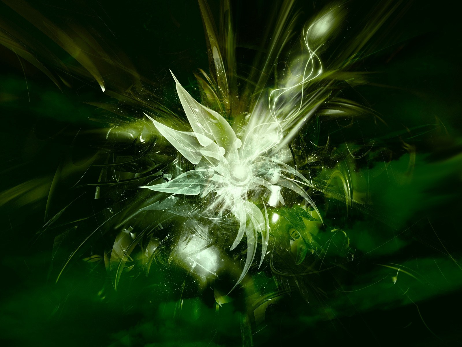 Abstract Green Texture HD Wallpaper