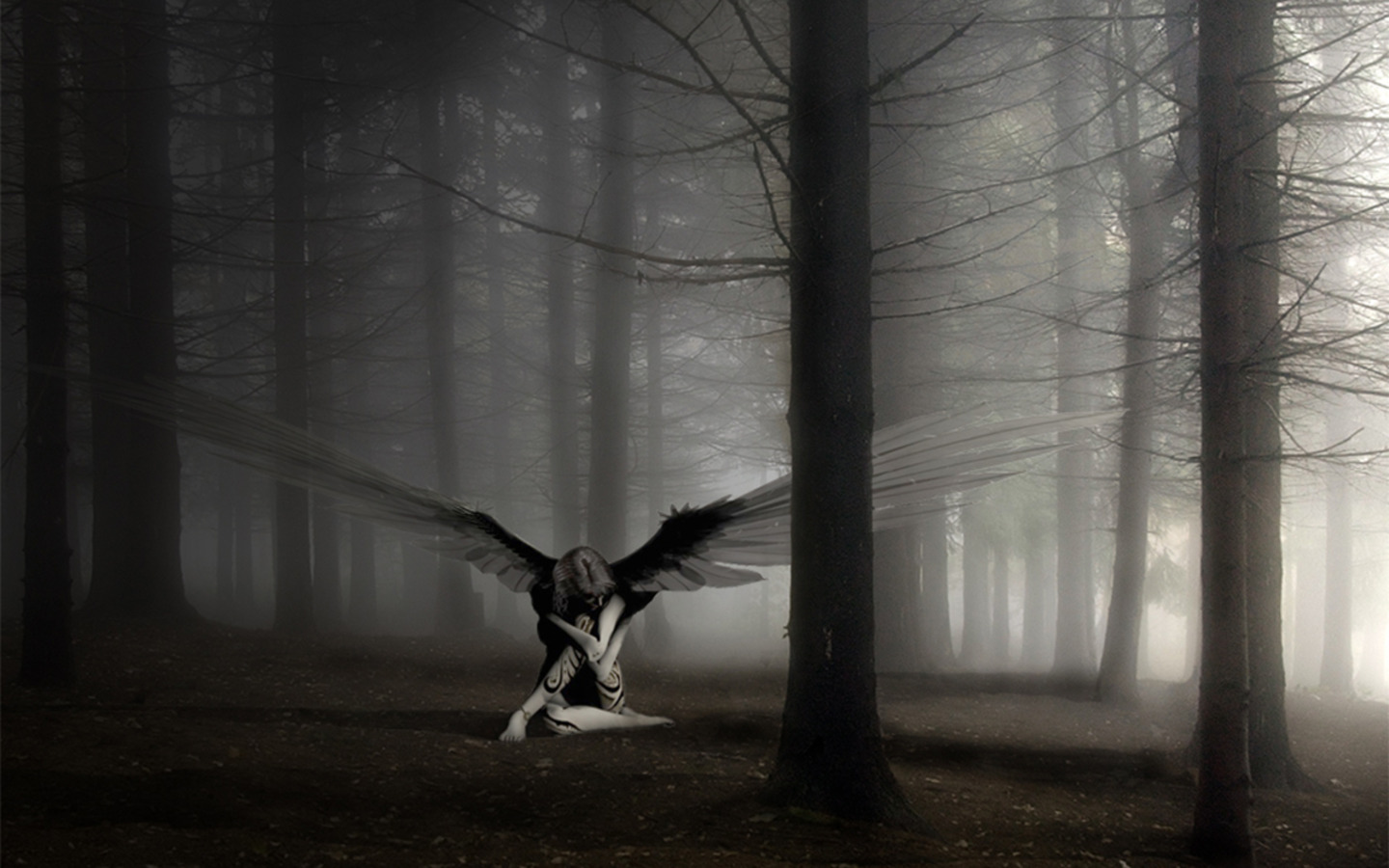 Angel with dark wings in a foggy forest HD Wallpaper