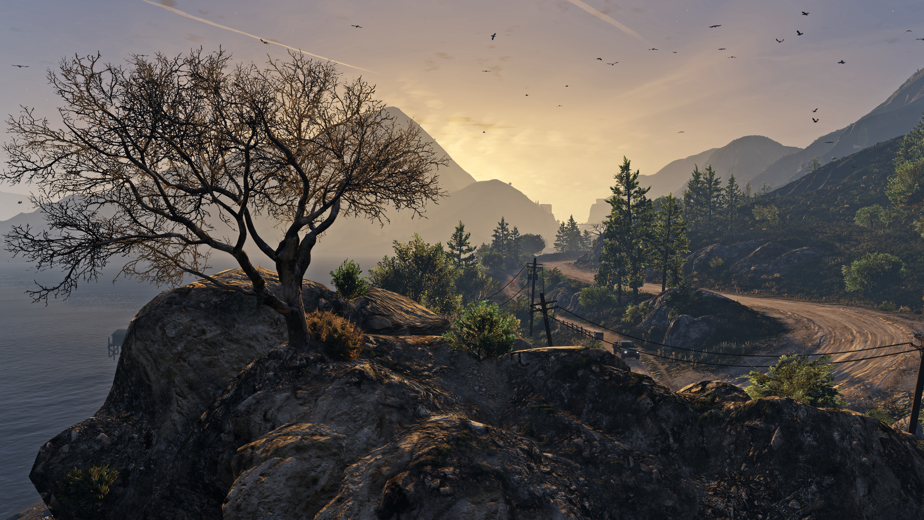Grand Theft Auto V mountain road with tree and birds HD Wallpaper