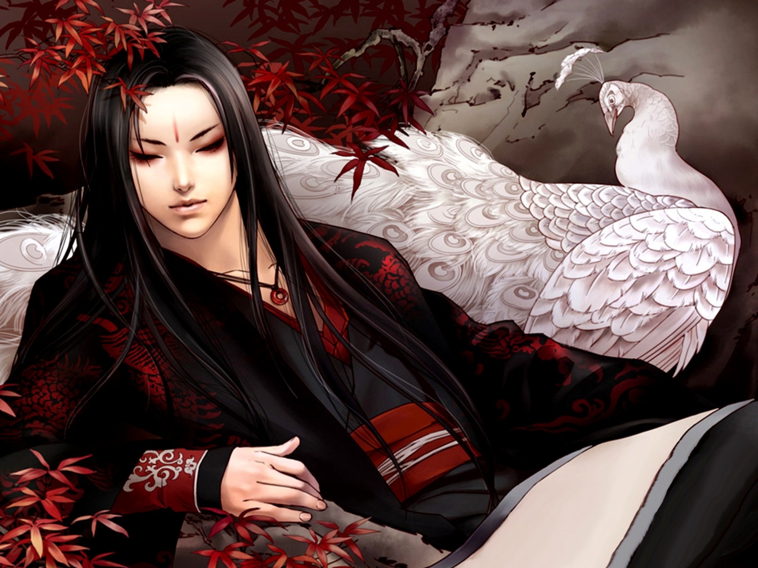 Jx Online: Man with White Peacock HD Wallpaper