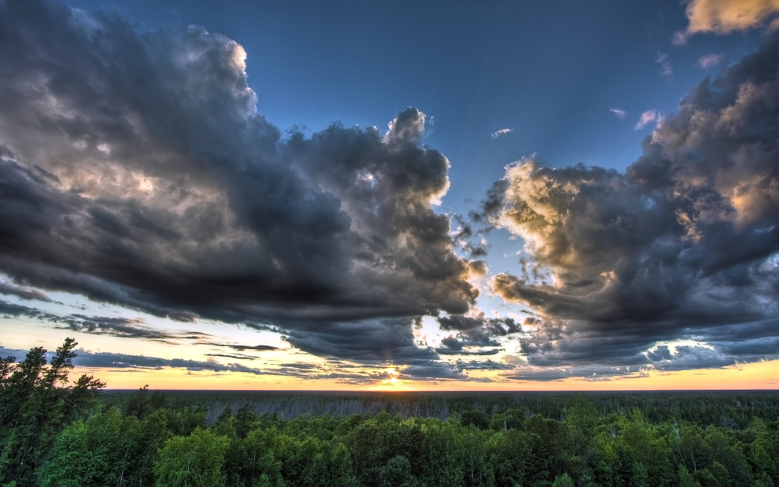 Sunset over a forest with dramatic clouds HD Wallpaper