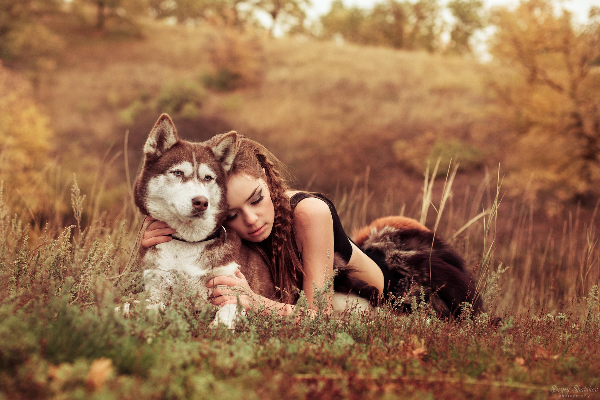 Girl hugging a Husky dog in a field HD Wallpaper