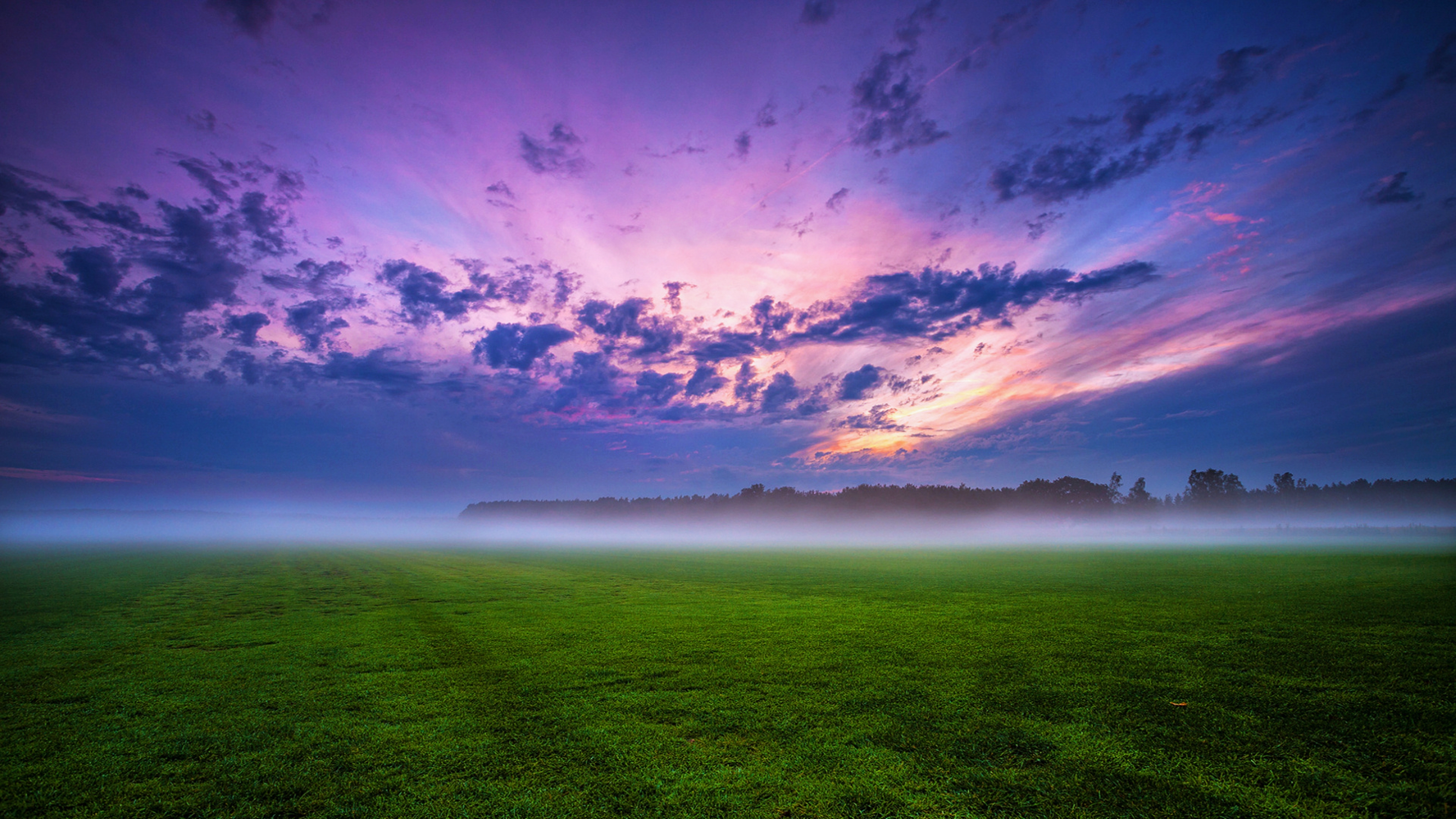 Foggy field at sunrise with purple clouds HD Wallpaper