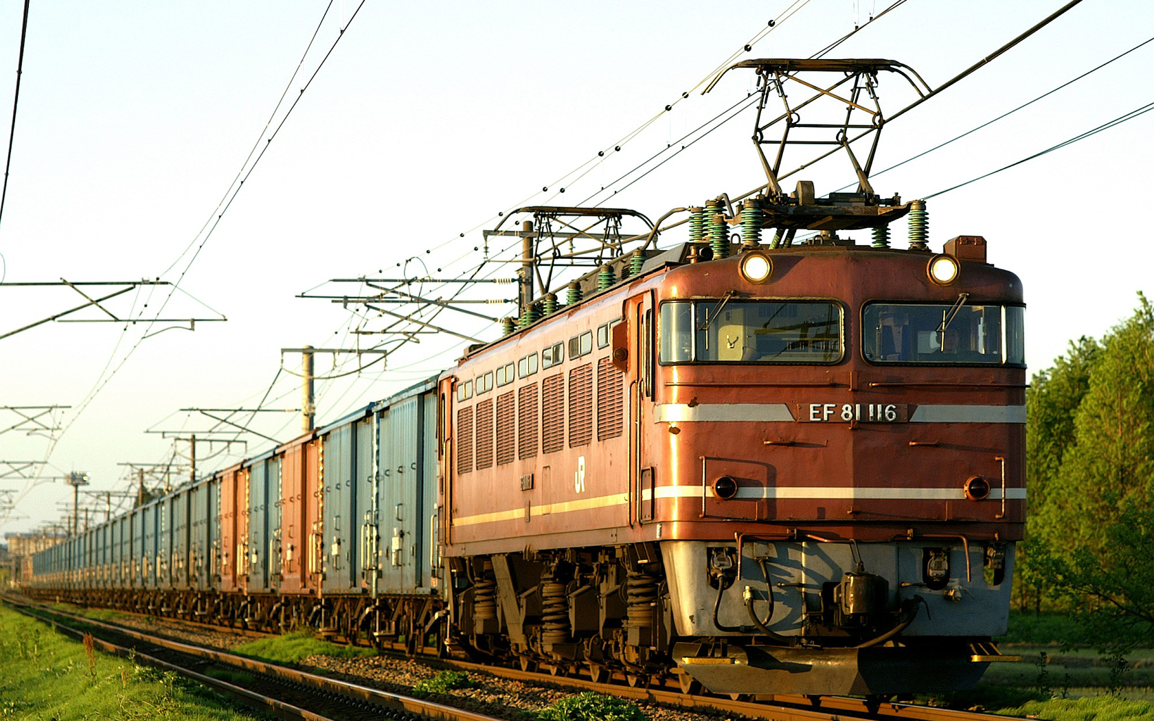Red electric locomotive EF81 116 pulling freight cars HD Wallpaper