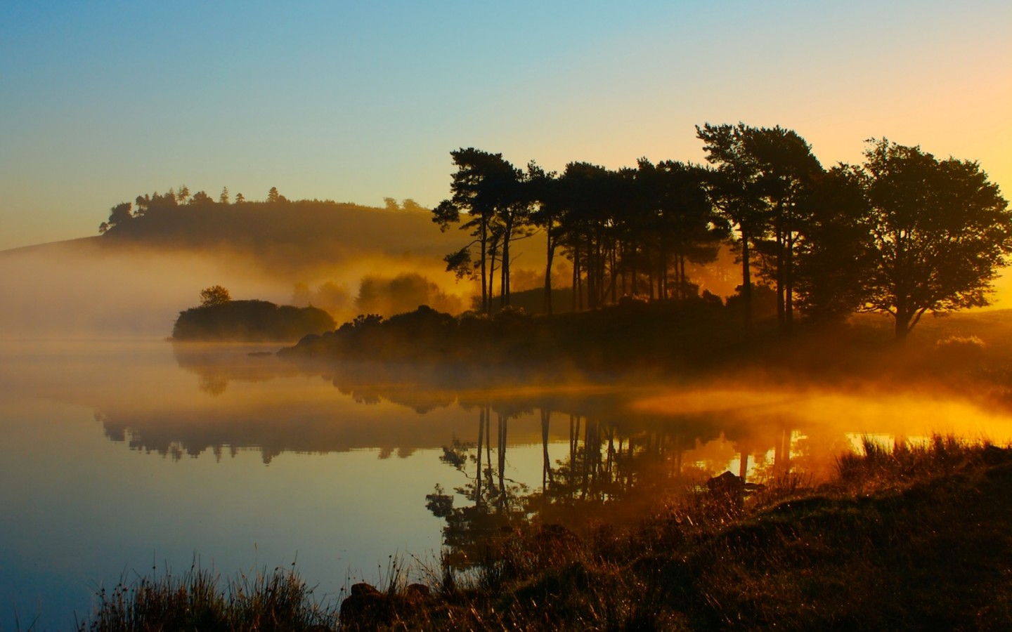Misty lake at sunrise with silhouetted trees HD Wallpaper