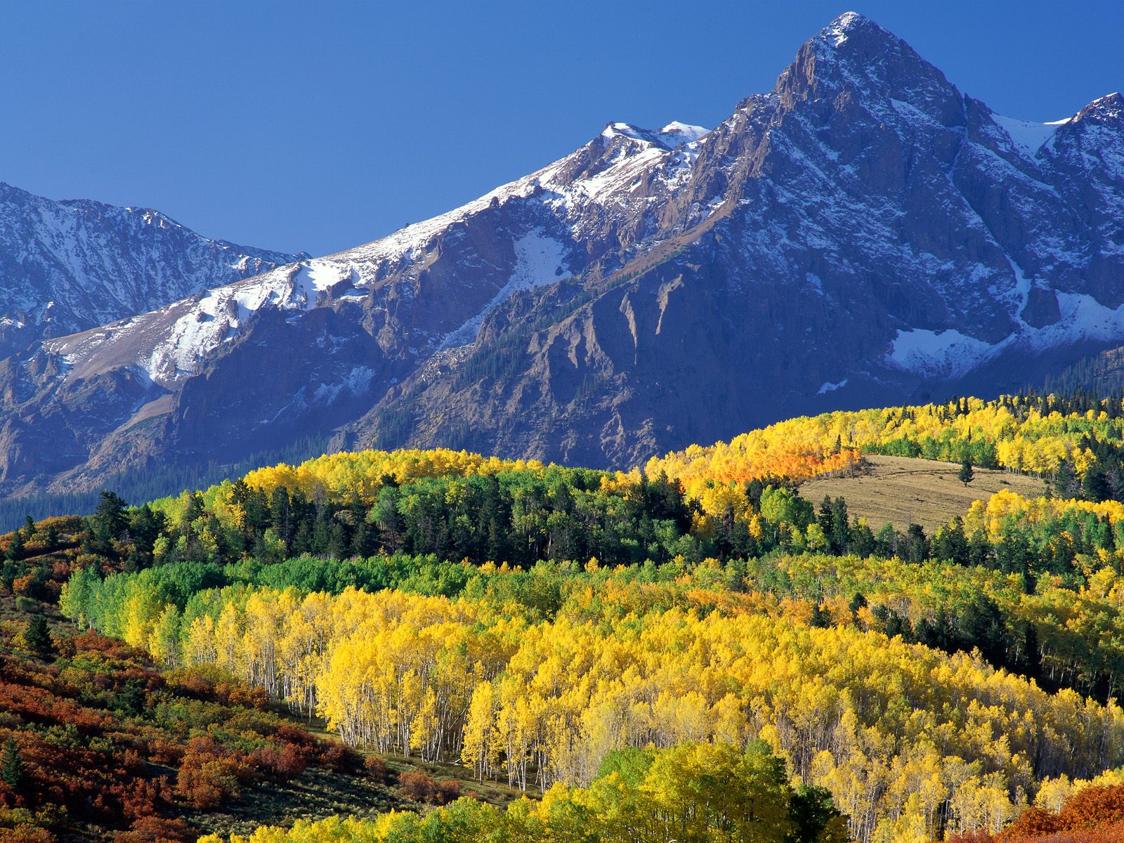 Mountain range with autumn trees HD Wallpaper