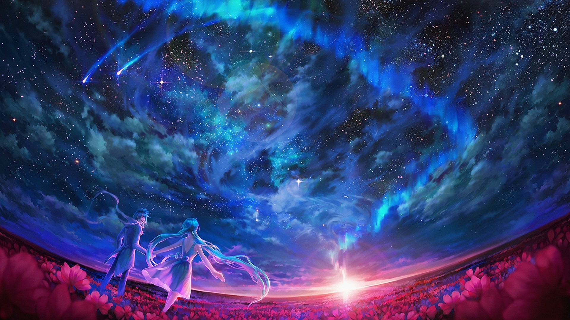 Couple Gazing at Aurora in Flower Field HD Wallpaper