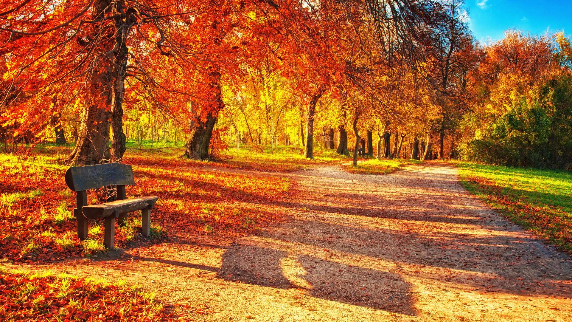 Autumn park with a bench and fallen leaves HD Wallpaper