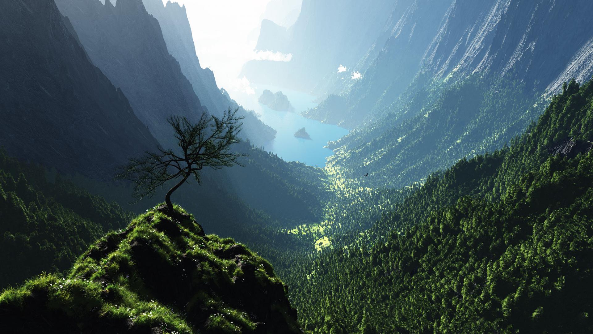 Mountain valley with a lone tree and a lake HD Wallpaper