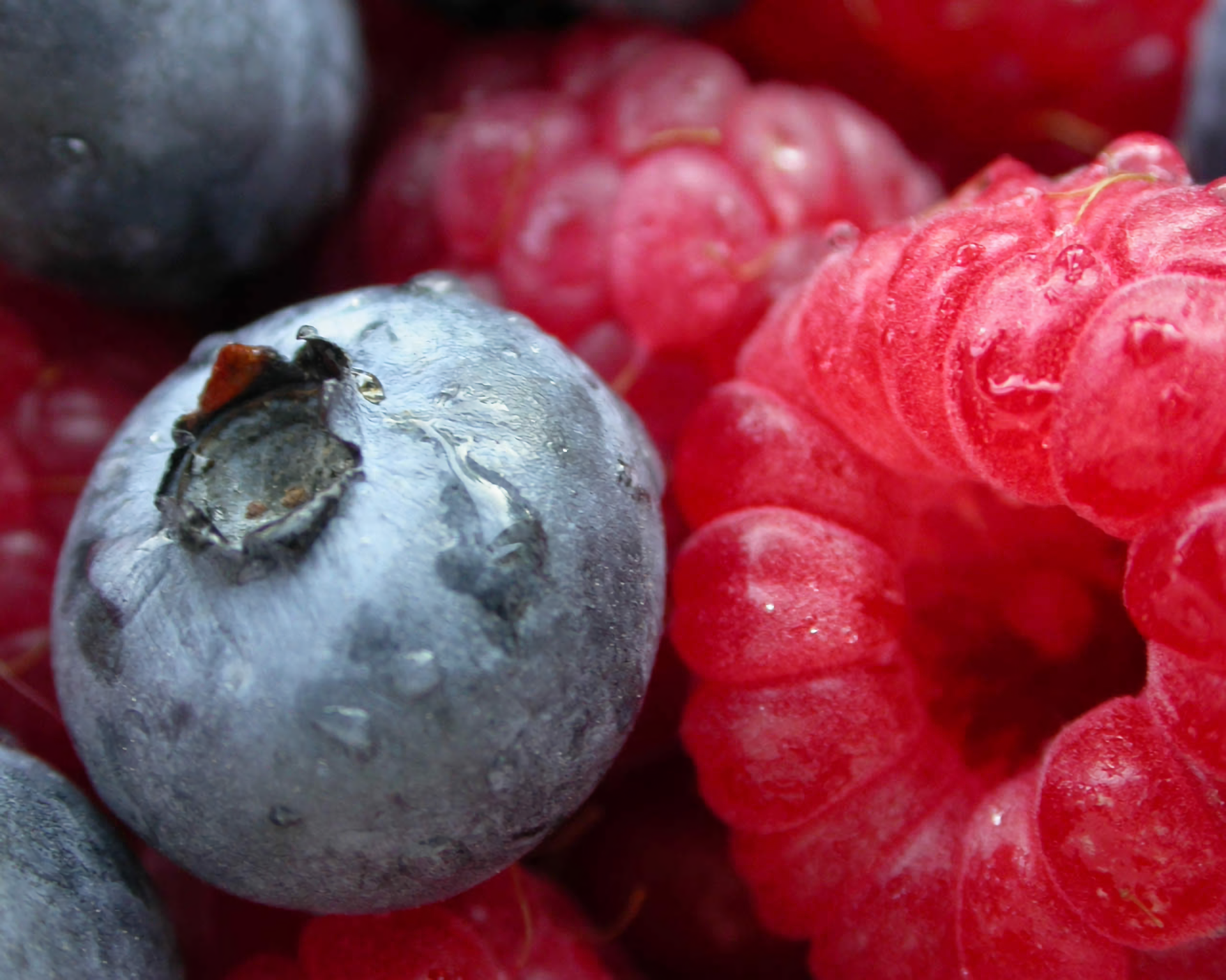 Blueberries and Raspberries HD Wallpaper