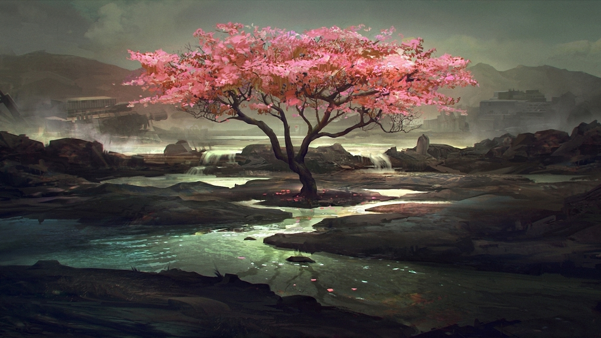 Pink flowering tree by a rocky stream HD Wallpaper