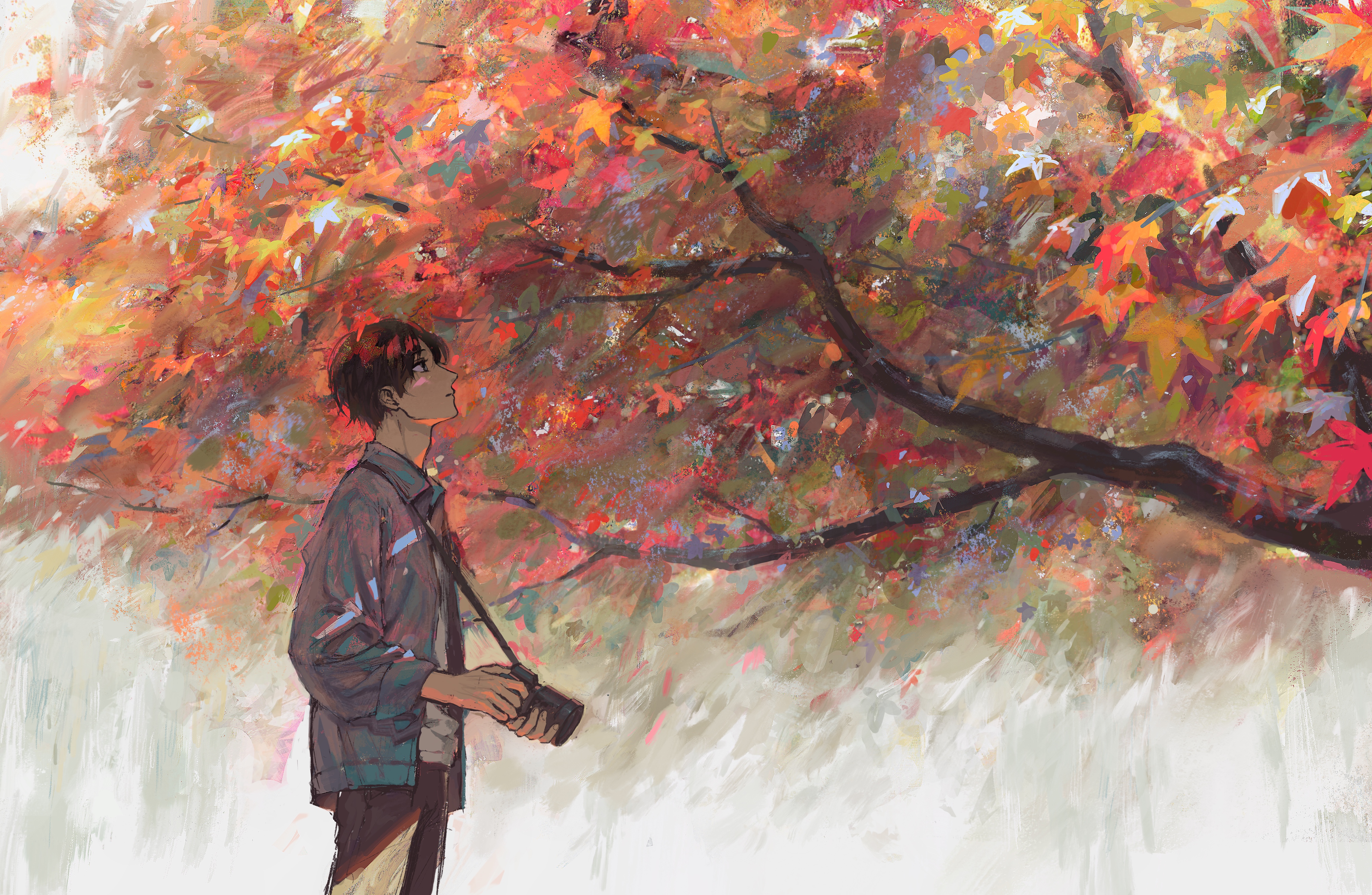 Boy with camera under autumn tree HD Wallpaper