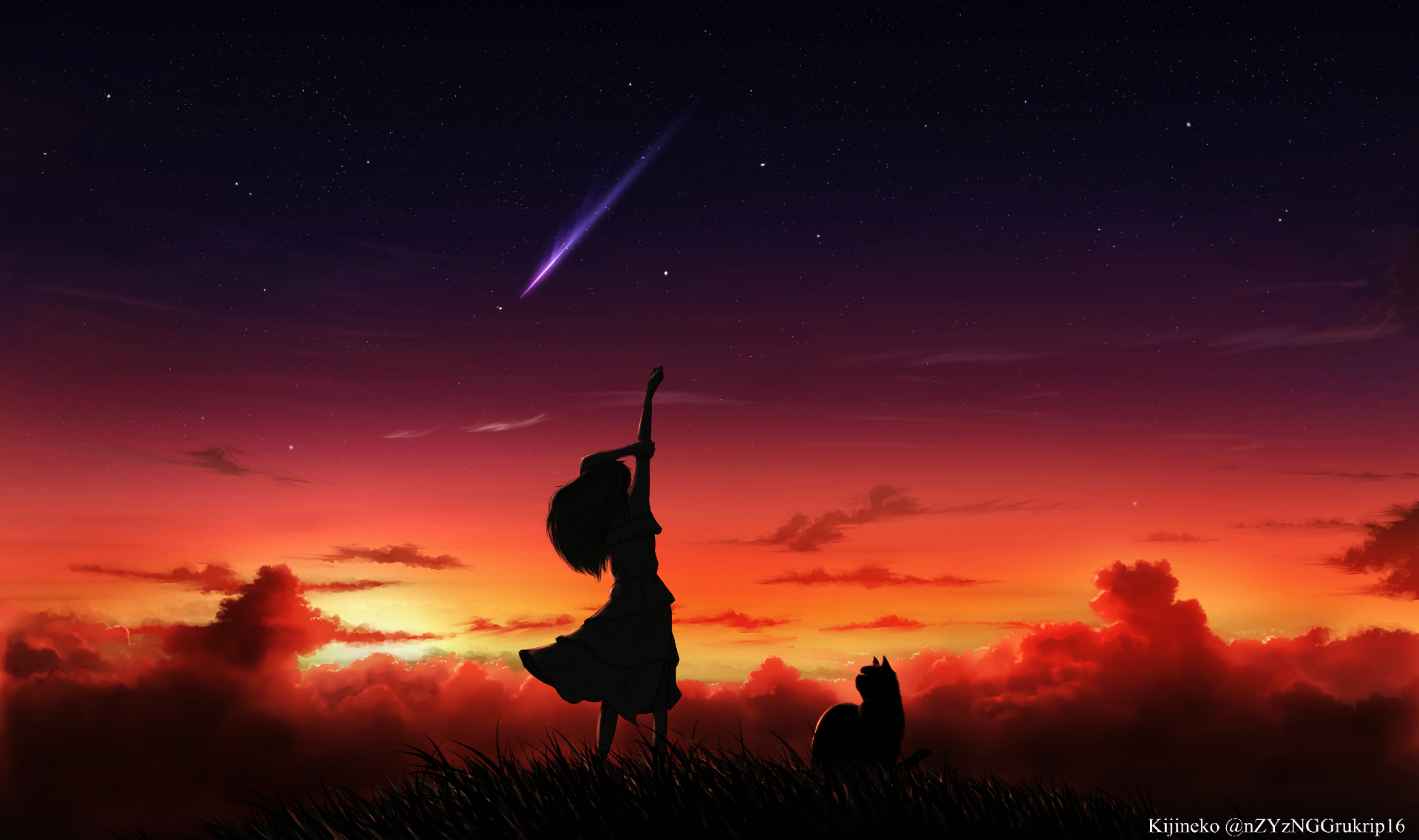 Girl and Cat Watching a Shooting Star at Sunset HD Wallpaper
