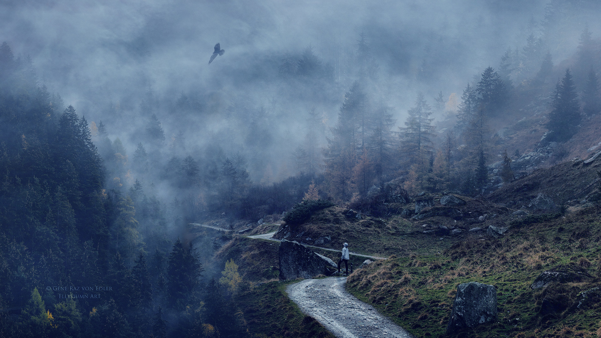 Person walking on a foggy mountain path with a bird flying HD Wallpaper