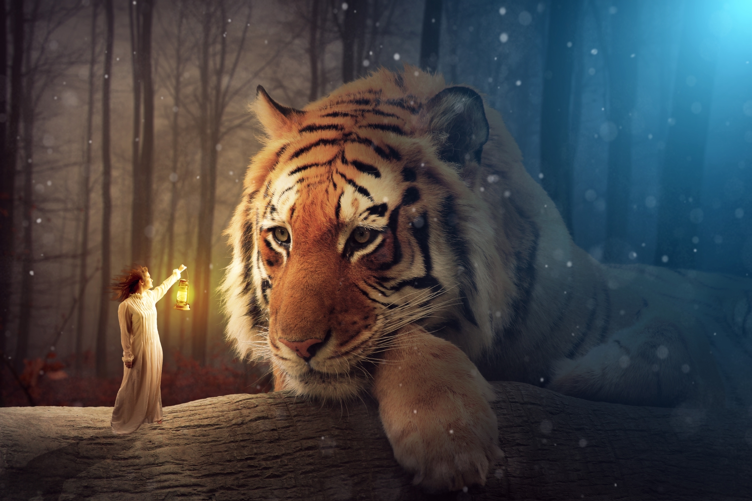 Girl with Lantern meets Giant Tiger in Snowy Forest HD Wallpaper