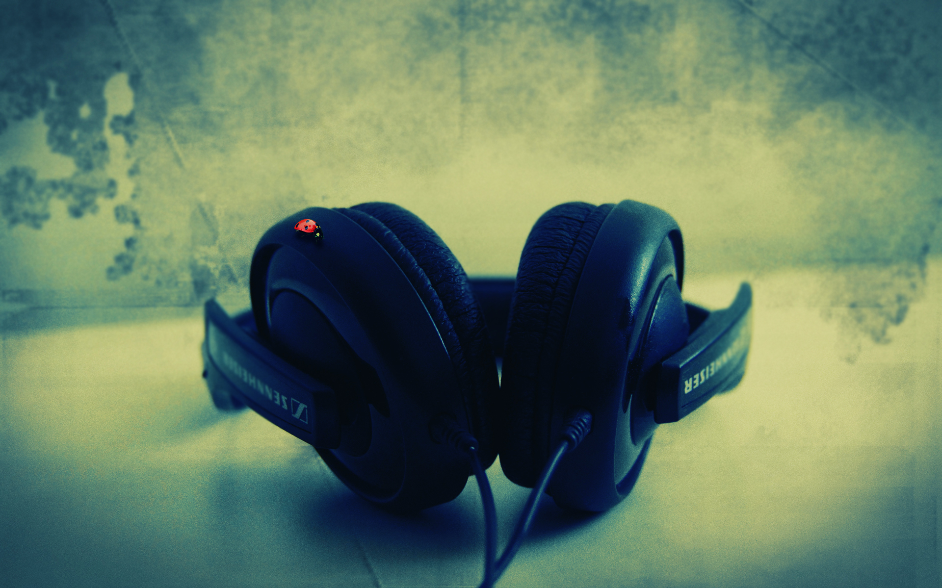 Sennheiser headphones with ladybug HD Wallpaper