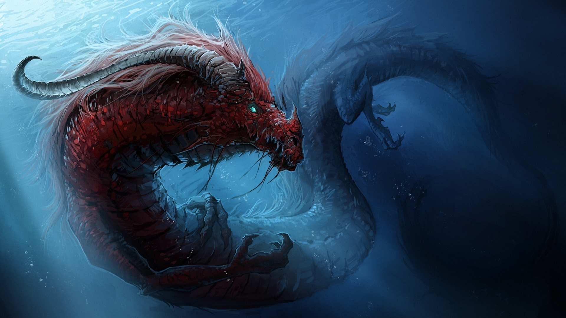 Red and blue dragons underwater HD Wallpaper