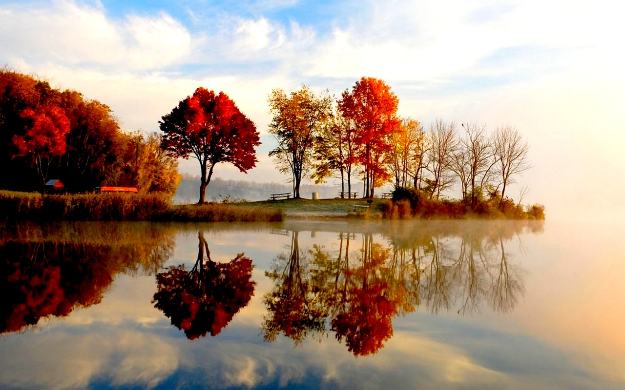 Autumn trees reflected in misty water at sunrise HD Wallpaper