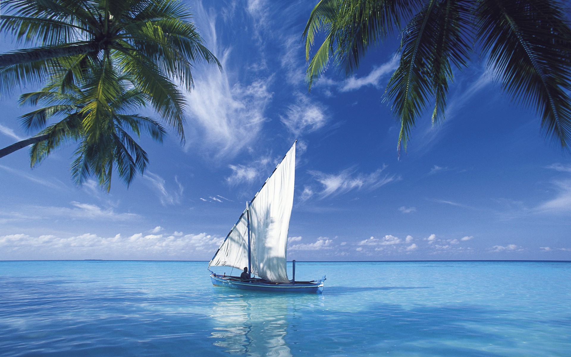 Sailboat on turquoise water under palm trees HD Wallpaper
