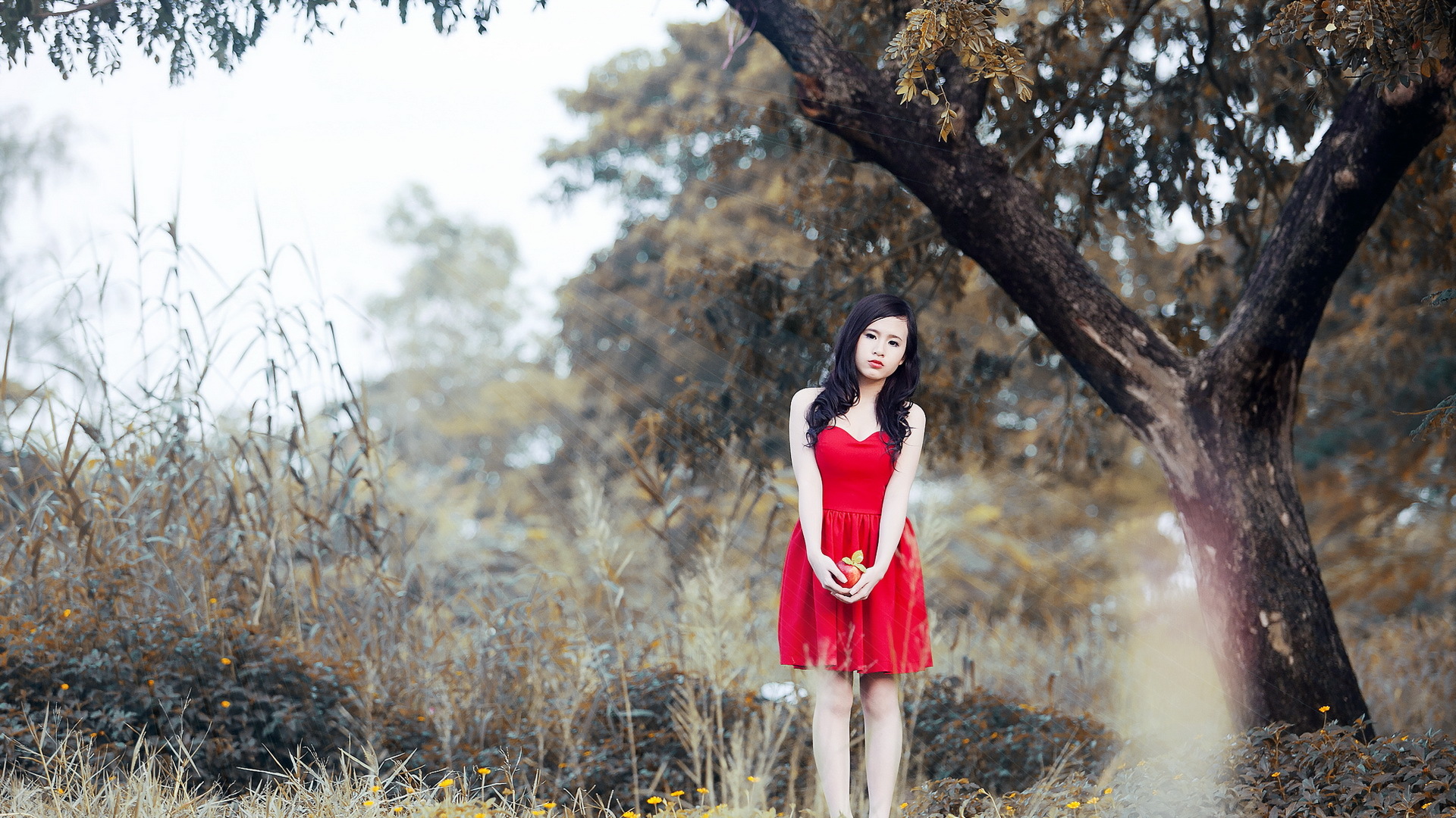 Young Asian woman in red dress holding an apple HD Wallpaper