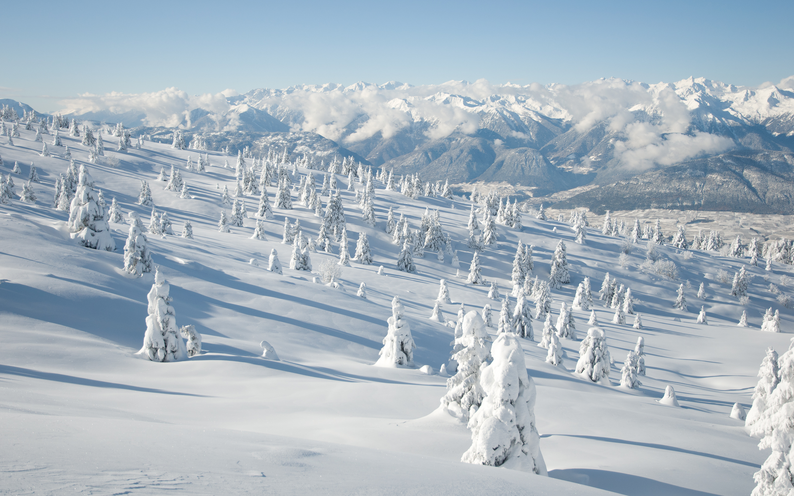 Snowy forest and mountains under a clear sky HD Wallpaper