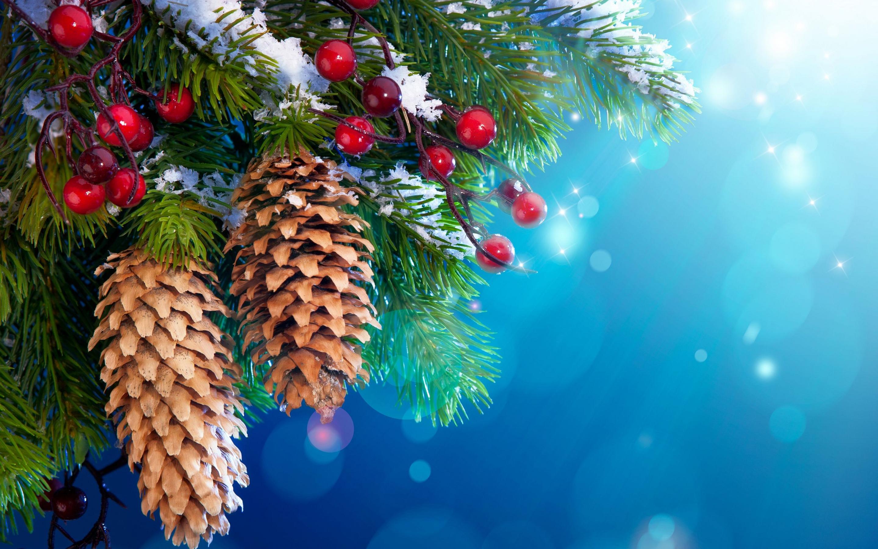 Christmas pine cones and berries on a snowy branch HD Wallpaper