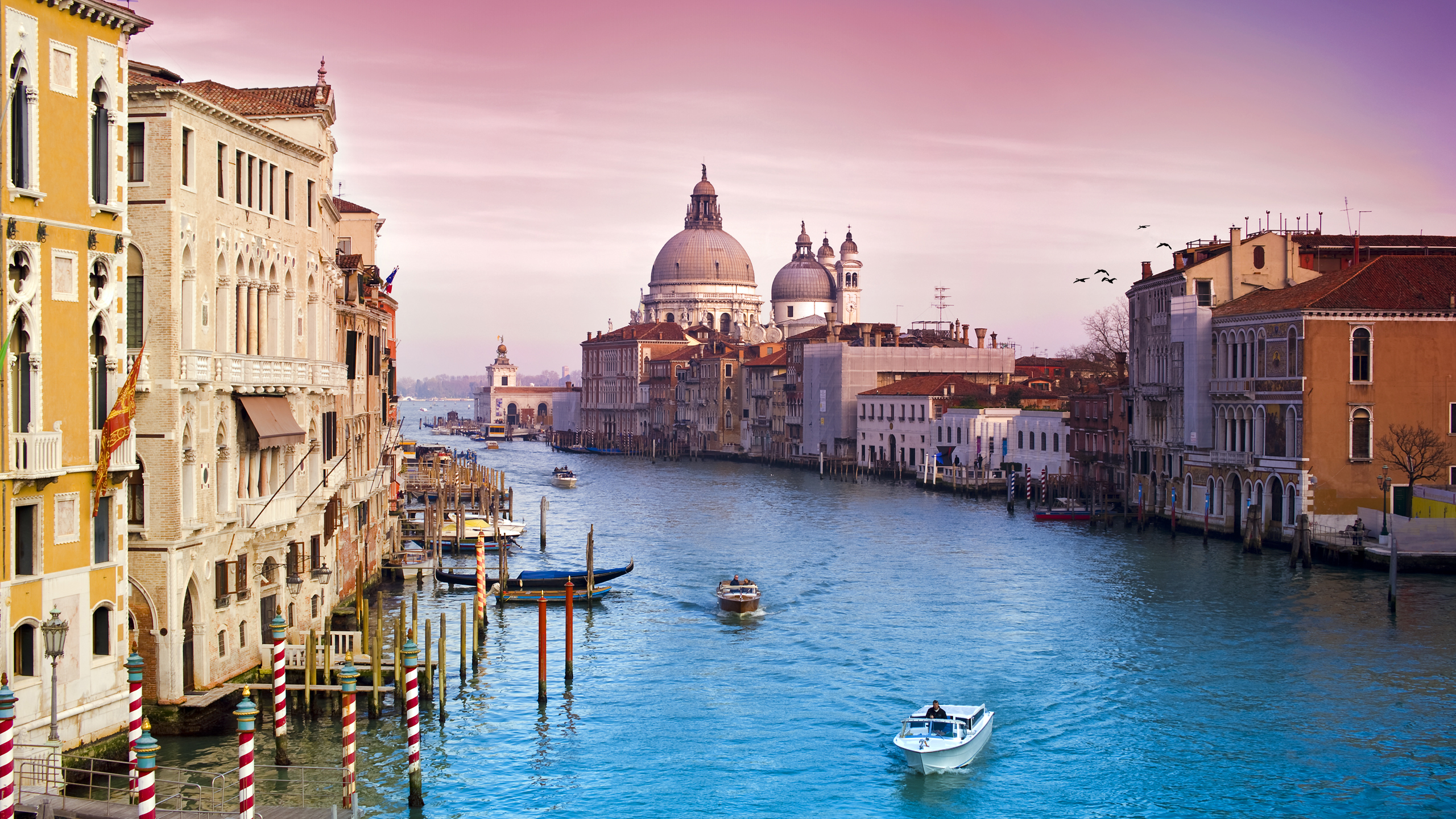 Venice Grand Canal with Basilica di Santa Maria della Salute HD Wallpaper