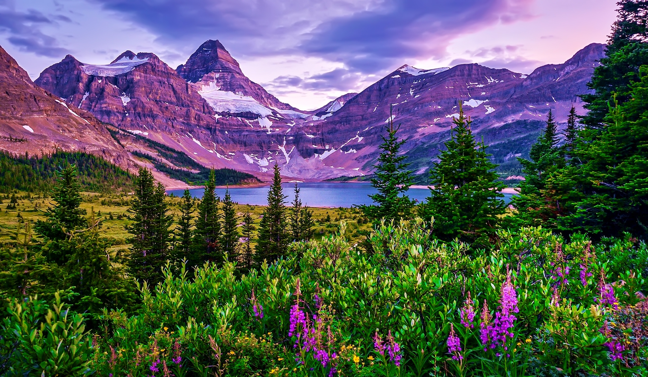 Purple Mountains and Lake with Wildflowers HD Wallpaper