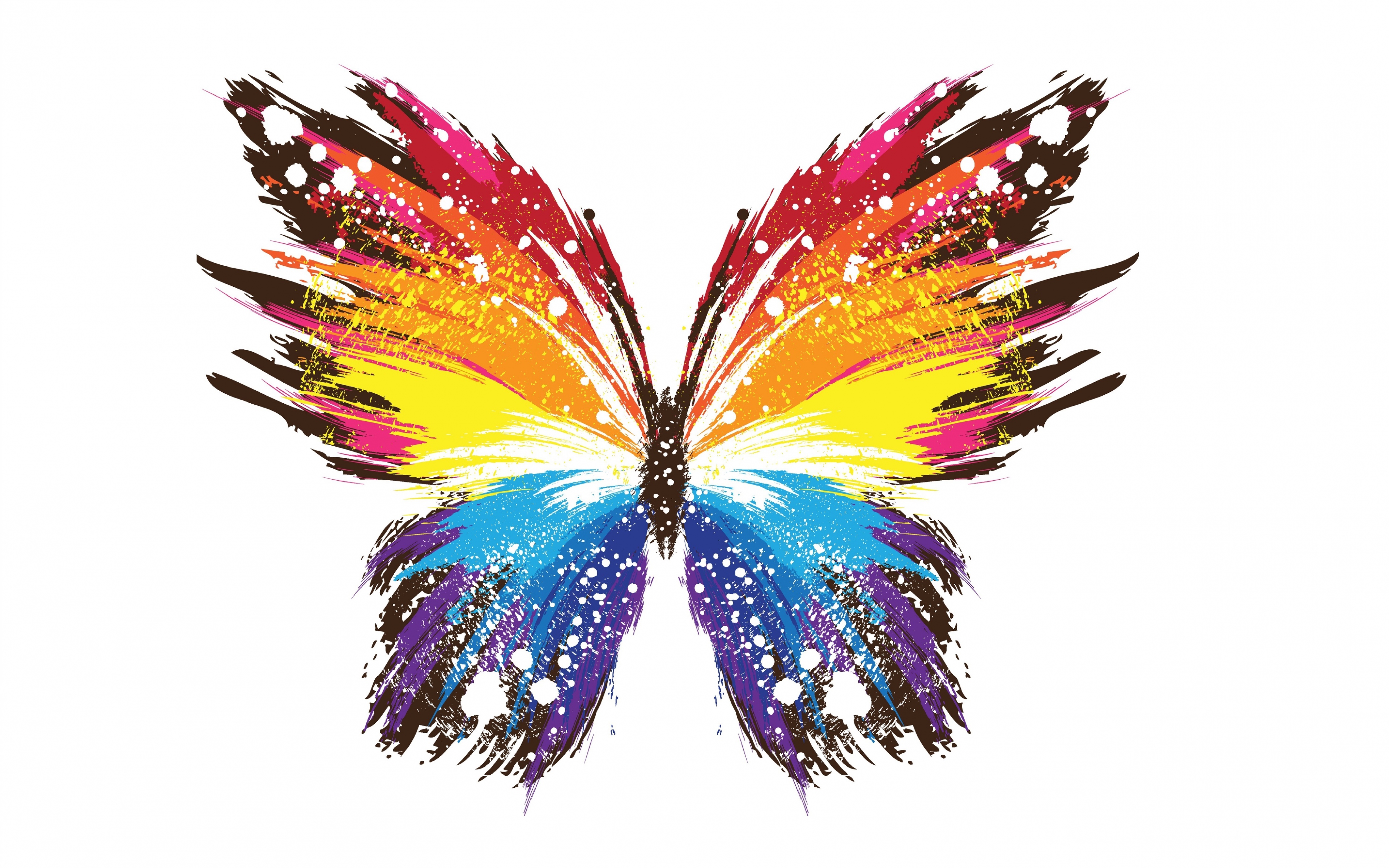 Abstract colorful butterfly with paint brush strokes HD Wallpaper