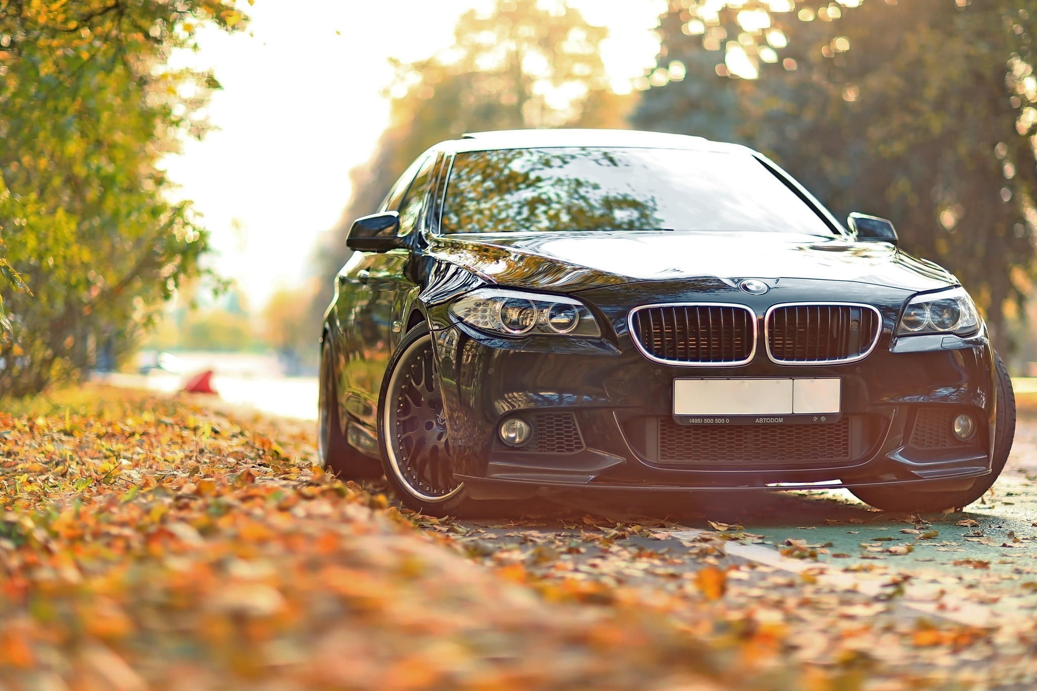 Black BMW 5 Series car on autumn road HD Wallpaper