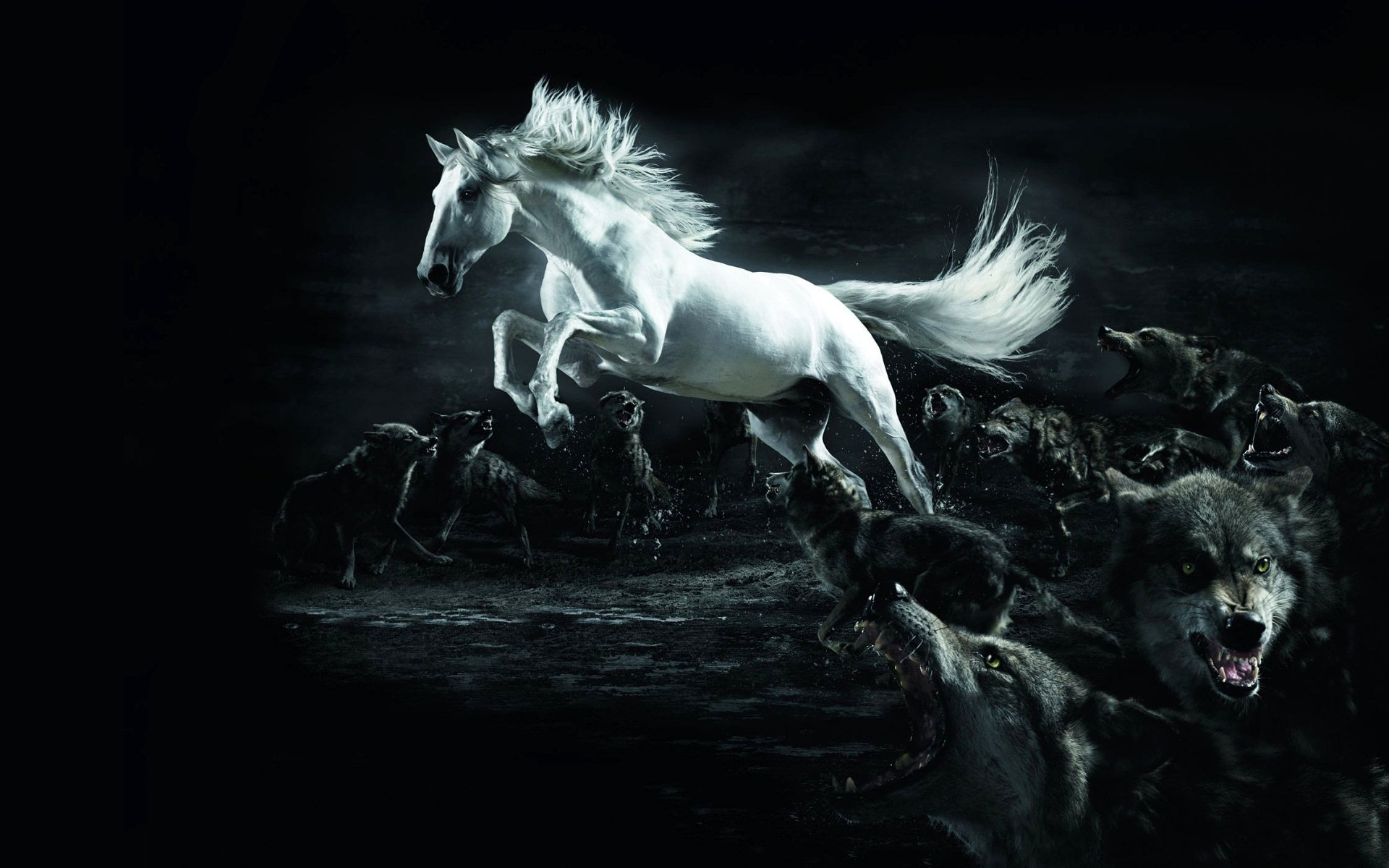White horse jumping over wolves HD Wallpaper