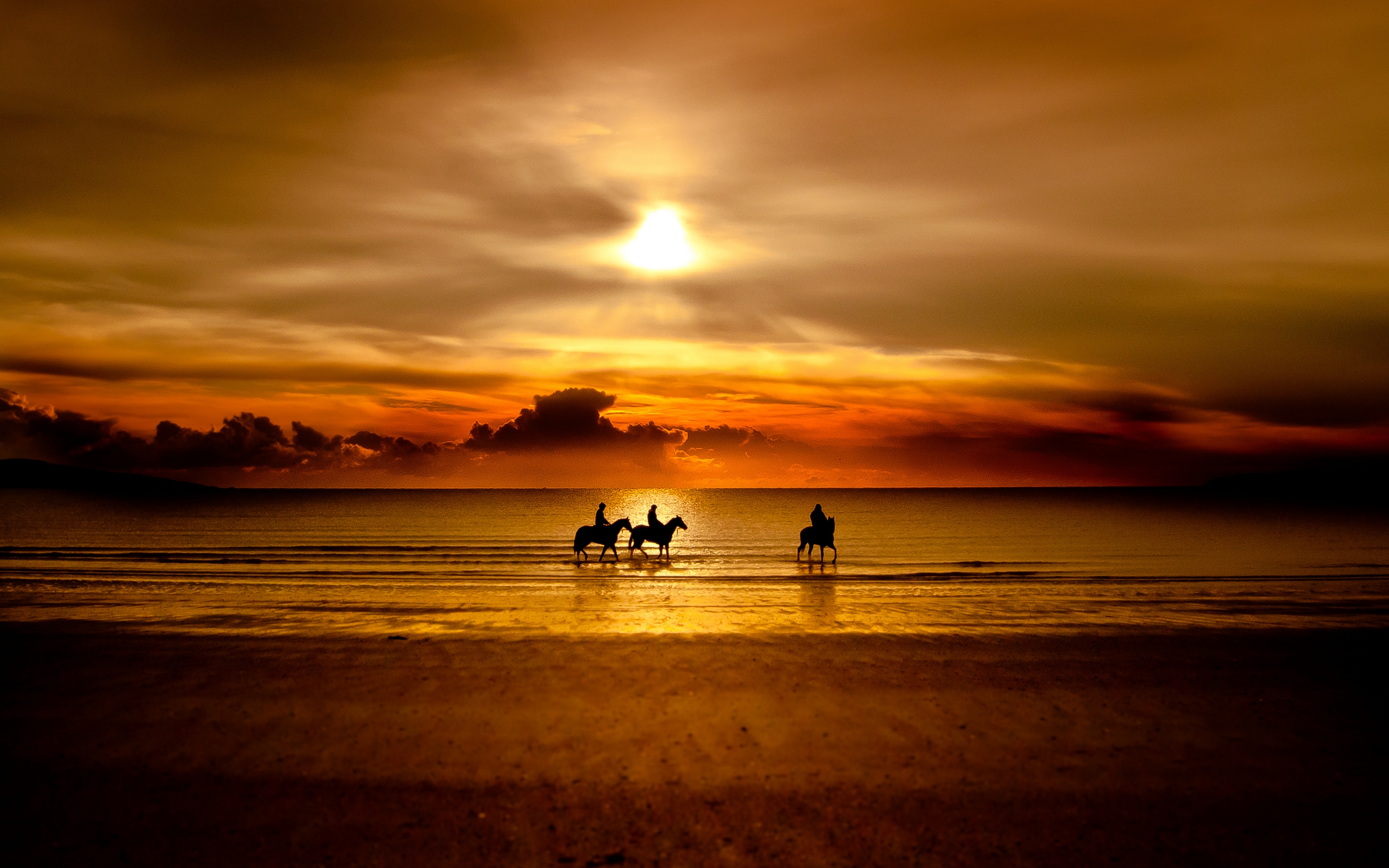 Three horses and riders silhouetted on a beach at sunset HD Wallpaper